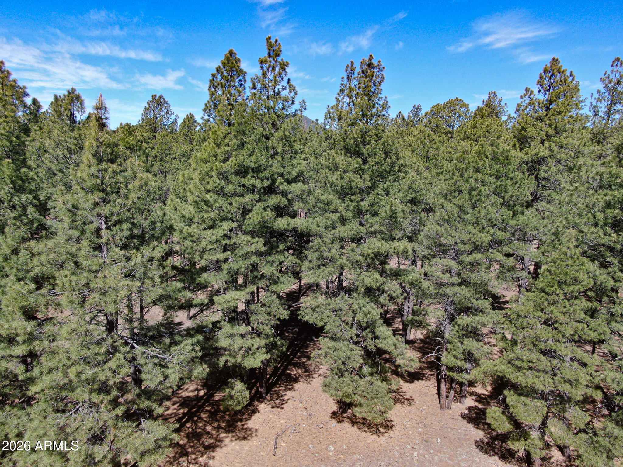 RANCH AT THE PEAKS PHASE 3 - Land