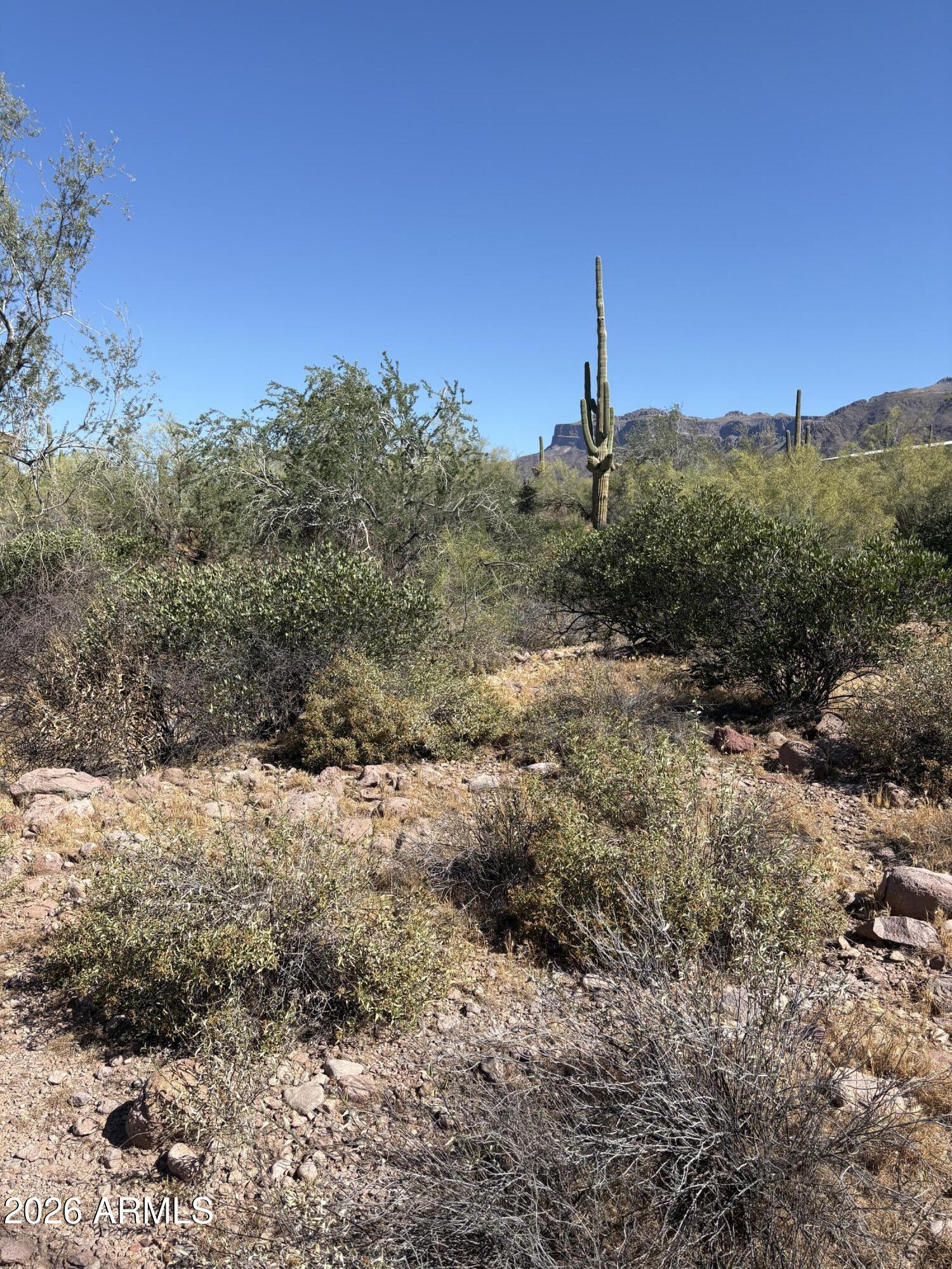 KING RANCH ESTATES - Land