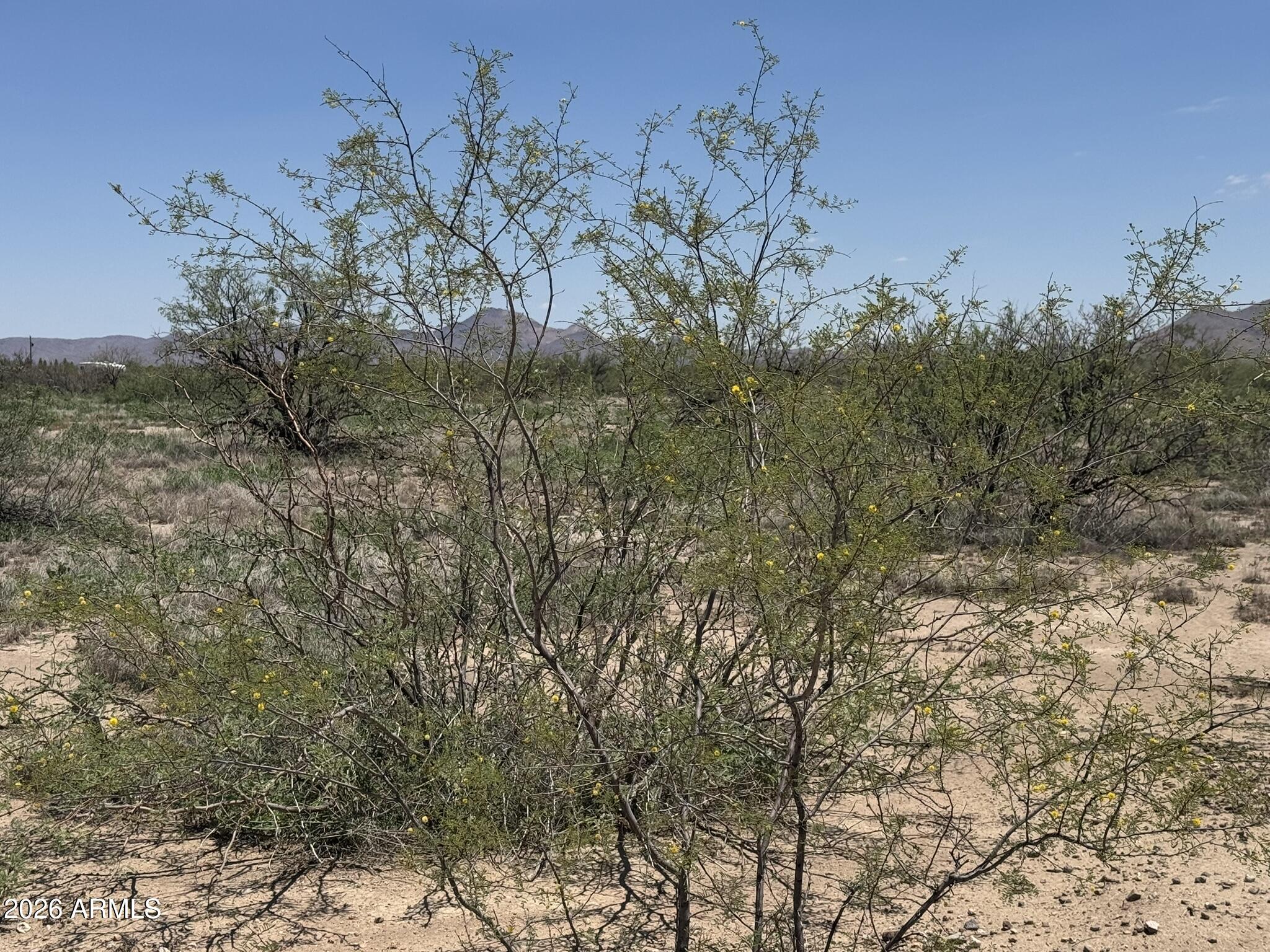RODEO RANCHES - Land