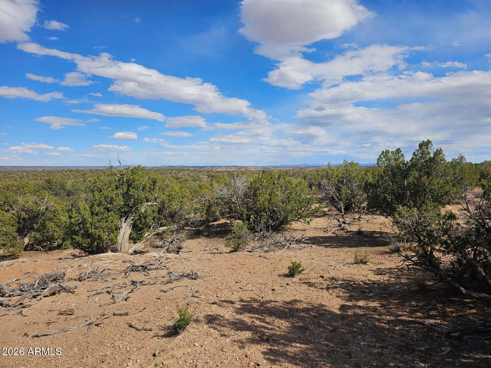 Ranch of the White Mountain - Land