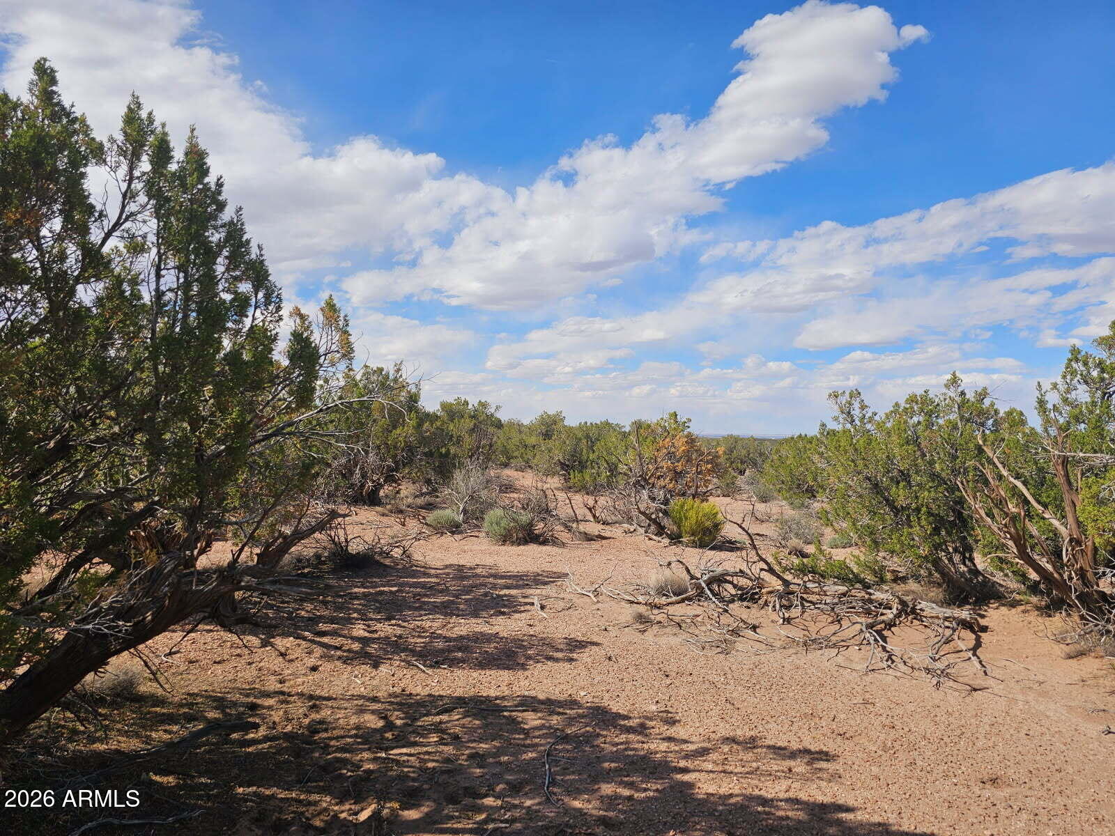 Ranch of the White Mountain - Land