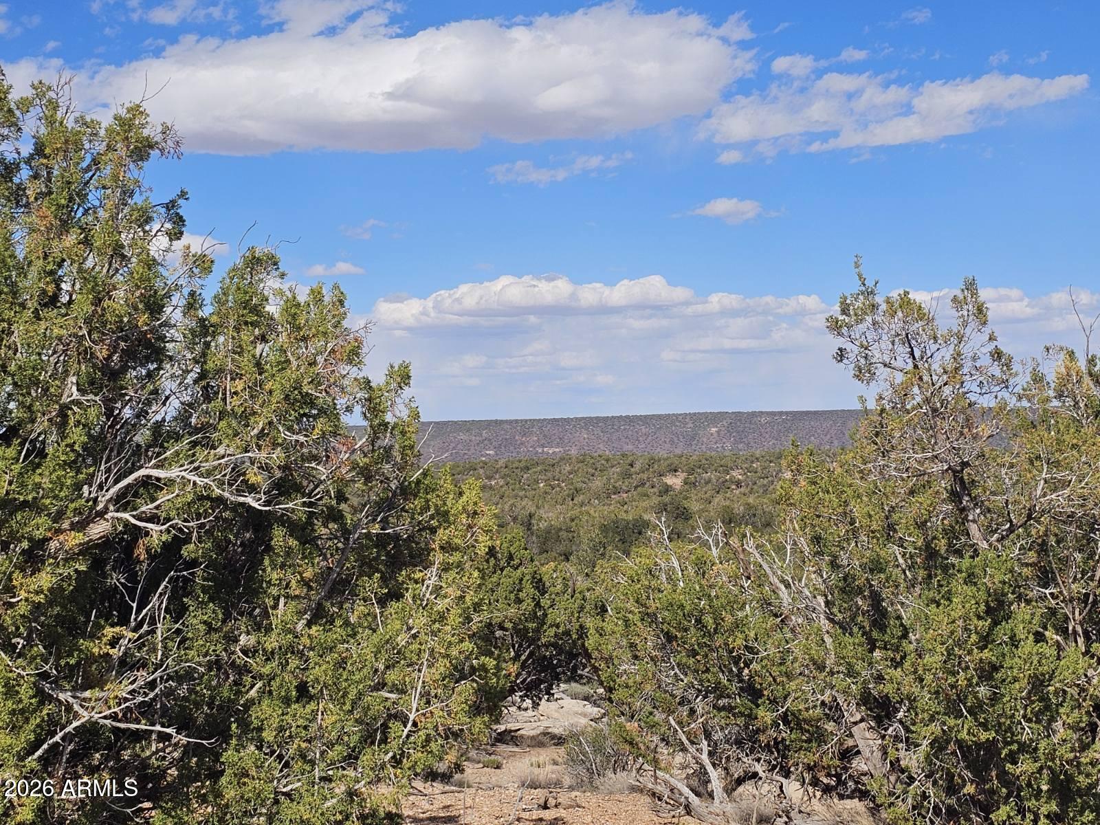 Ranch of the White Mountain - Land