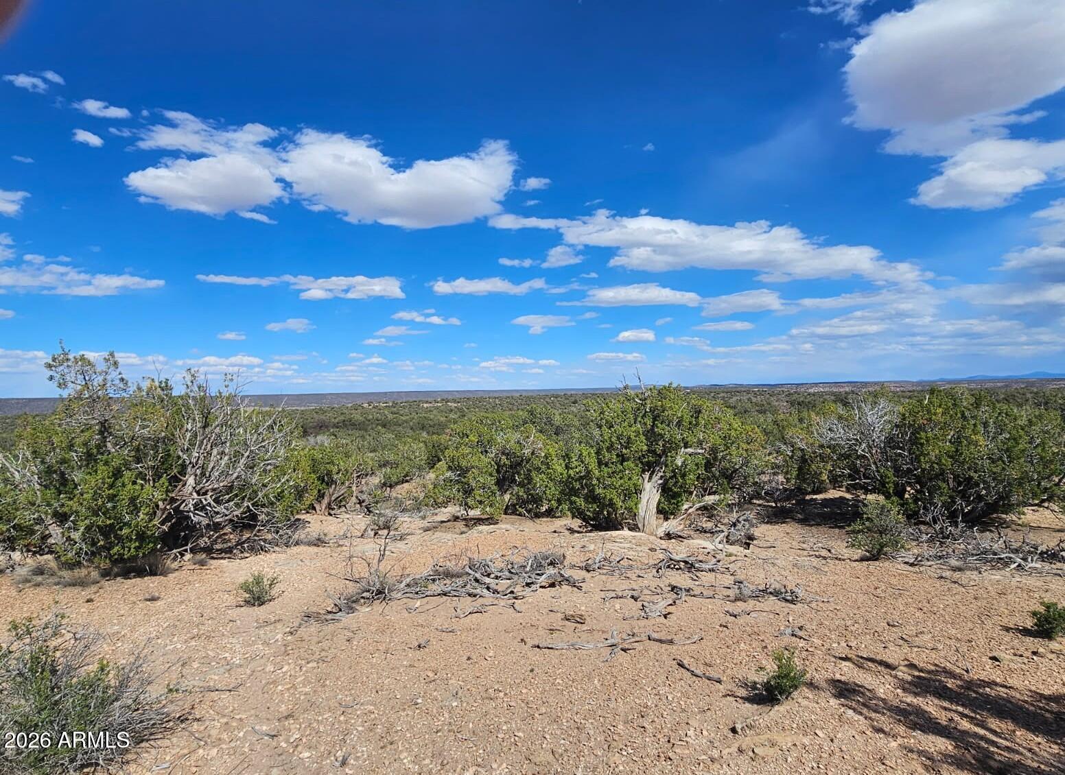 Ranch of the White Mountain - Land
