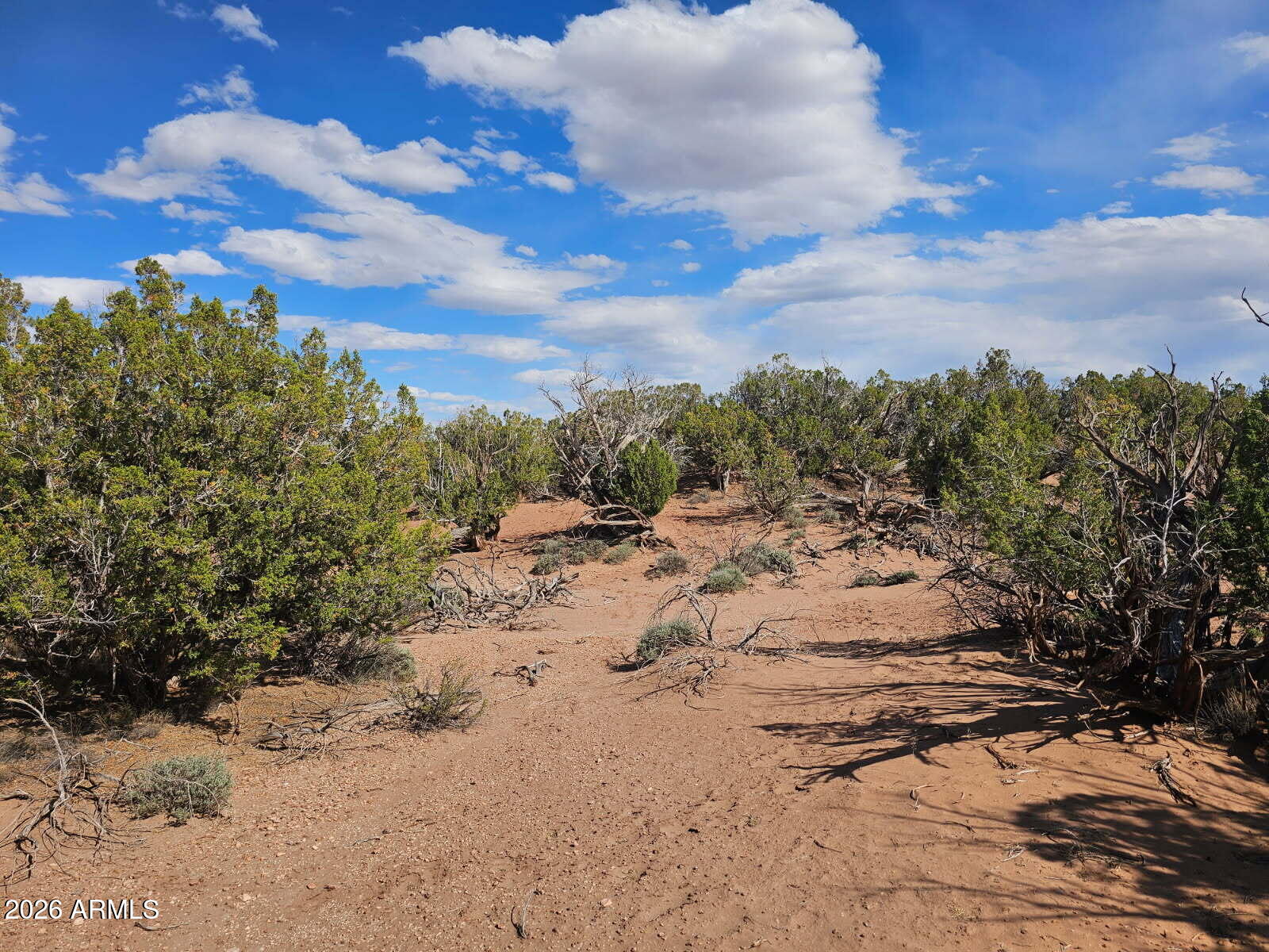 Ranch of the White Mountain - Land