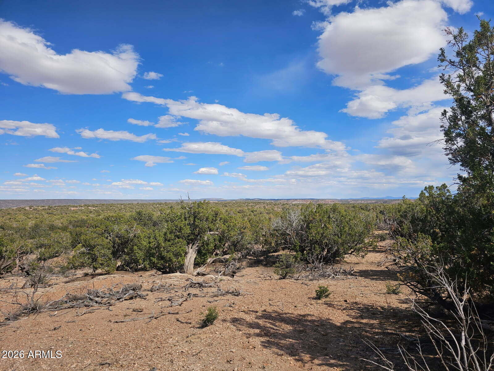 Ranch of the White Mountain - Land