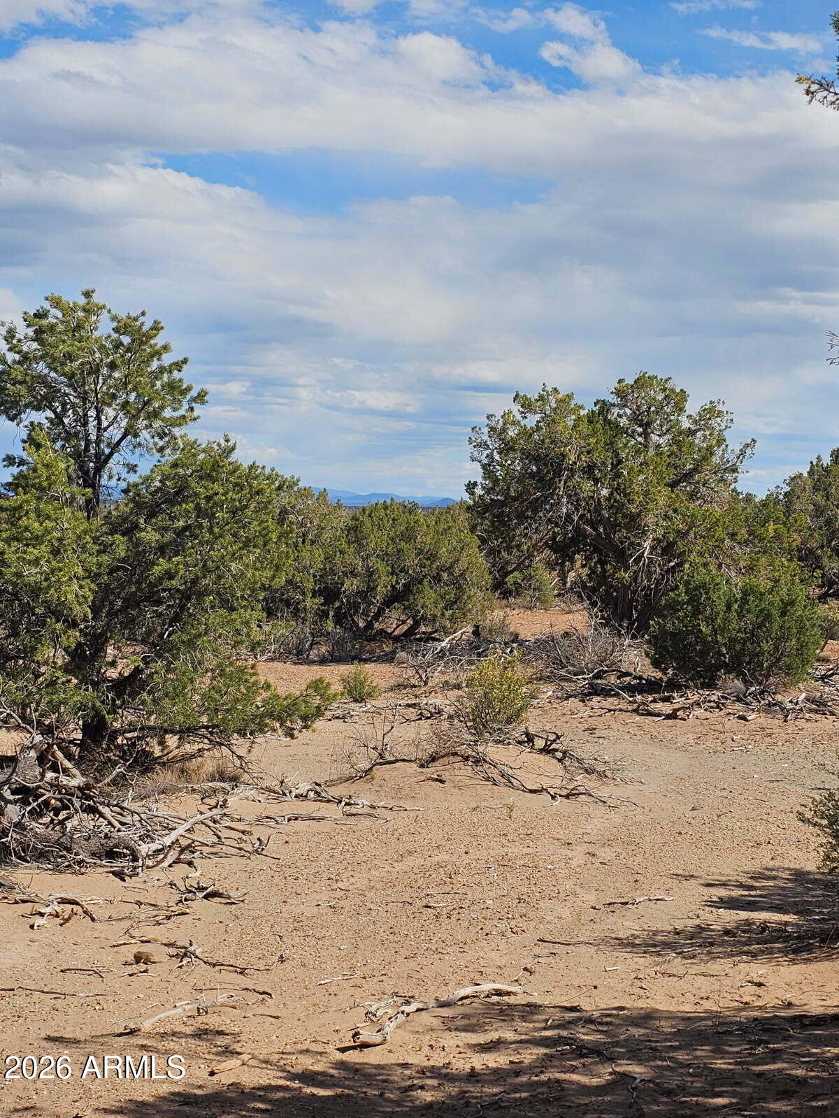 Ranch of the White Mountain - Land