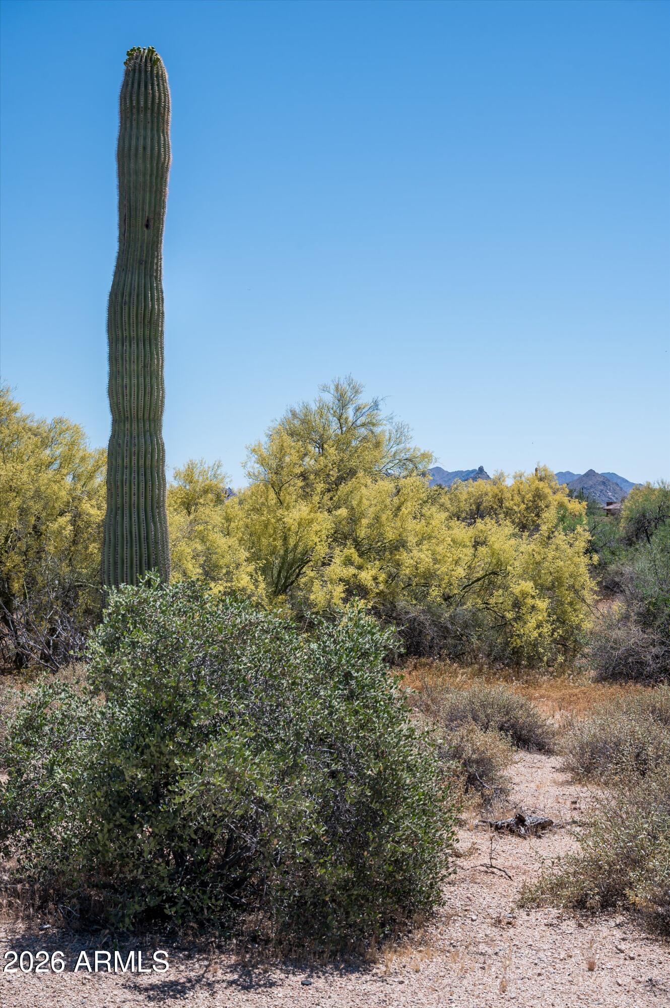 WHISPER ROCK UNIT 4 - Land