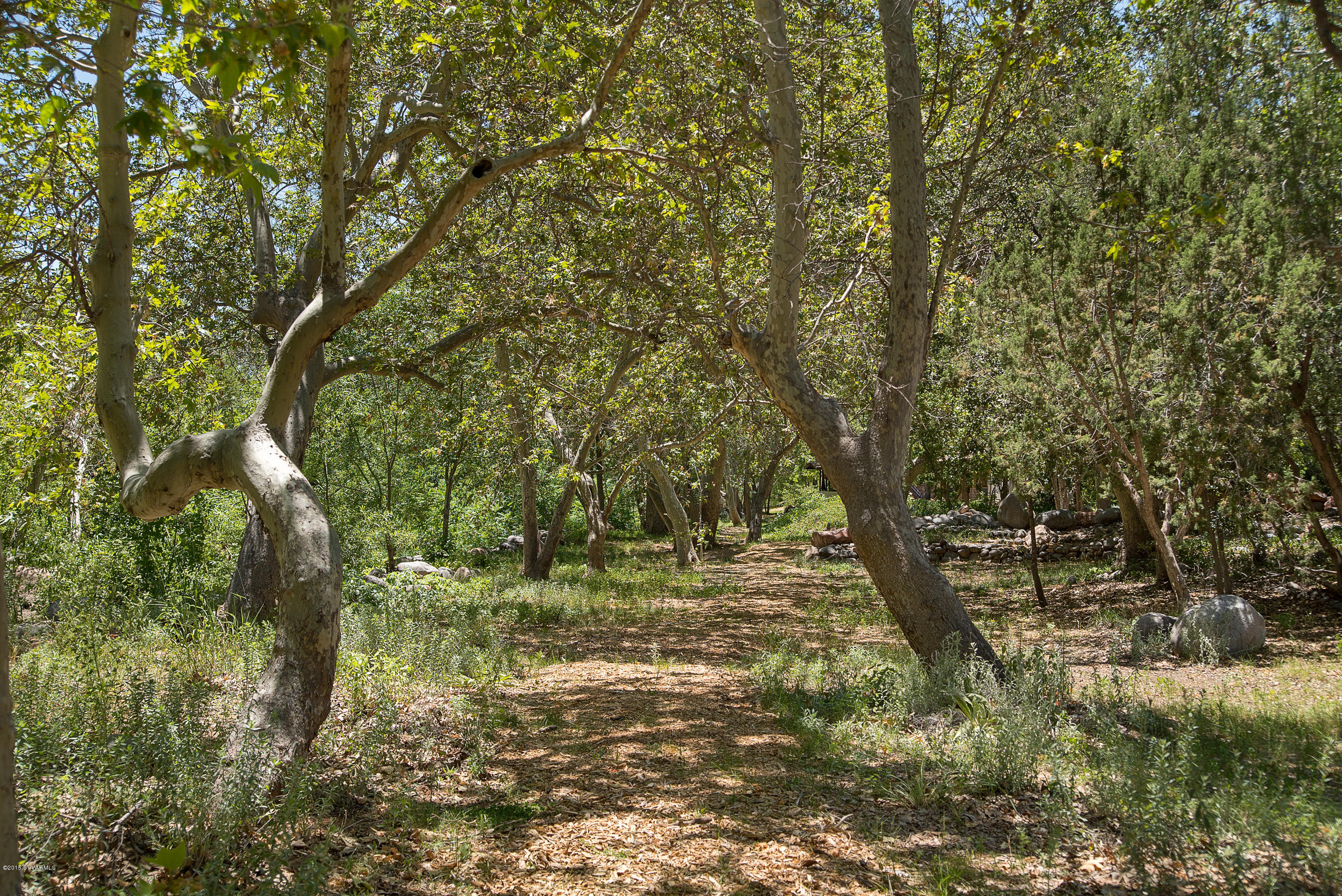 5 Acres or More - Land