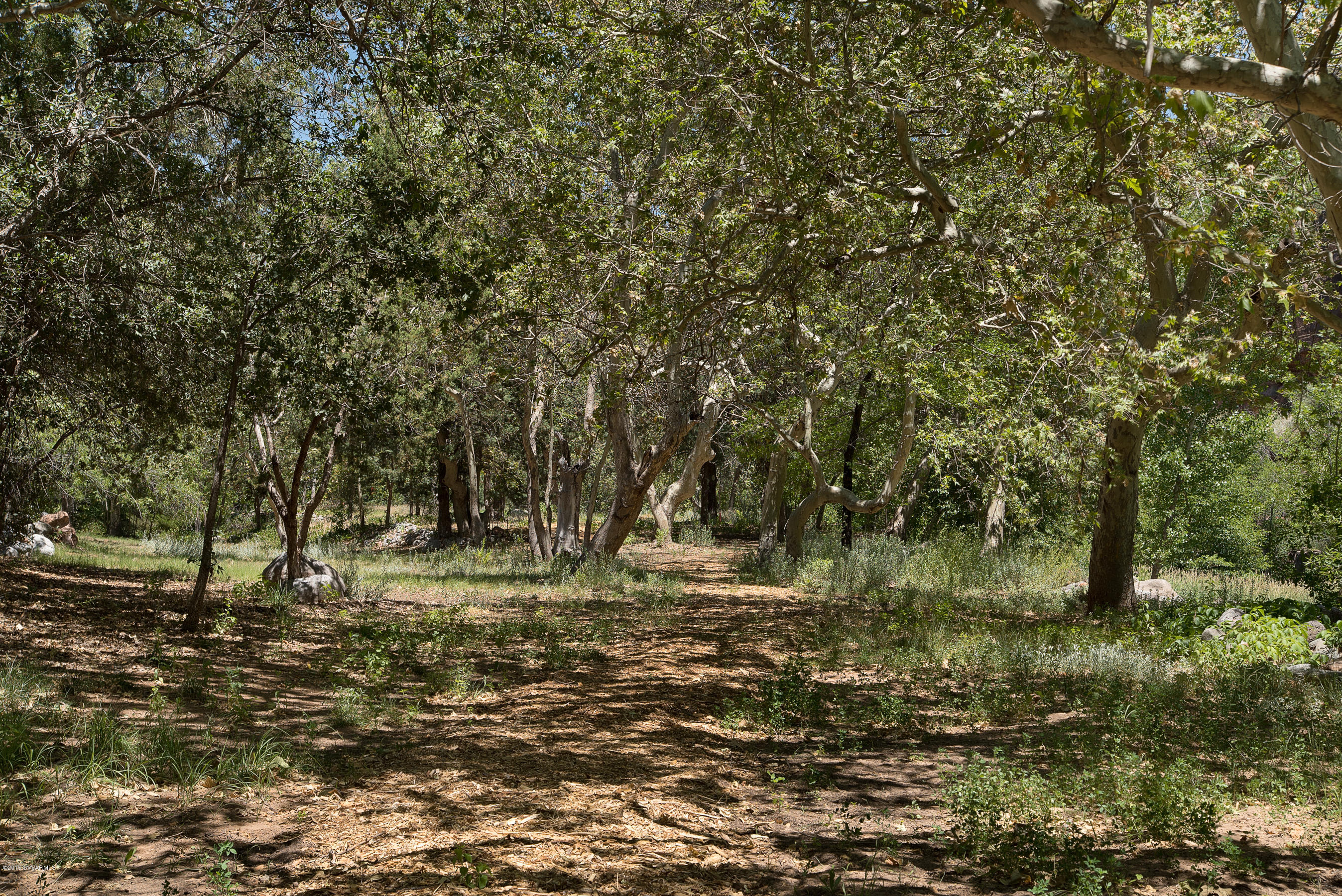 5 Acres or More - Land