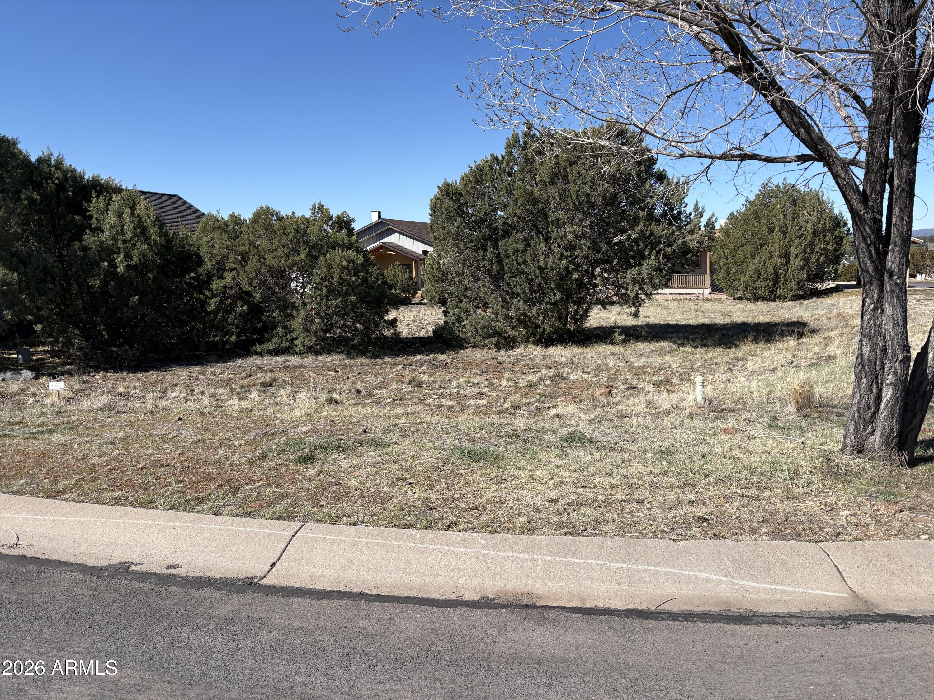 Corner lot!
Level and ready for you to build on. Charming community with custom homes. This community is building up quickly. Paved street and amazing views.