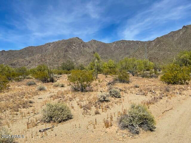 SELLER WILL CARRY!! 2 Acres of Desert Beauty with Endless Potential! Surrounded by mountain views, native Sonoran cactus, and abundant wildlife, this property offers a rare opportunity to create your dream home, ranch, or investment property. Just 300 feet south of Ocotillo Road, the land provides the perfect setting for off-grid living--where you can enjoy hiking, biking, and Arizona's natural beauty right outside your door. With no HOA and endless possibilities, this is the ideal canvas to design the lifestyle you've been waiting for.