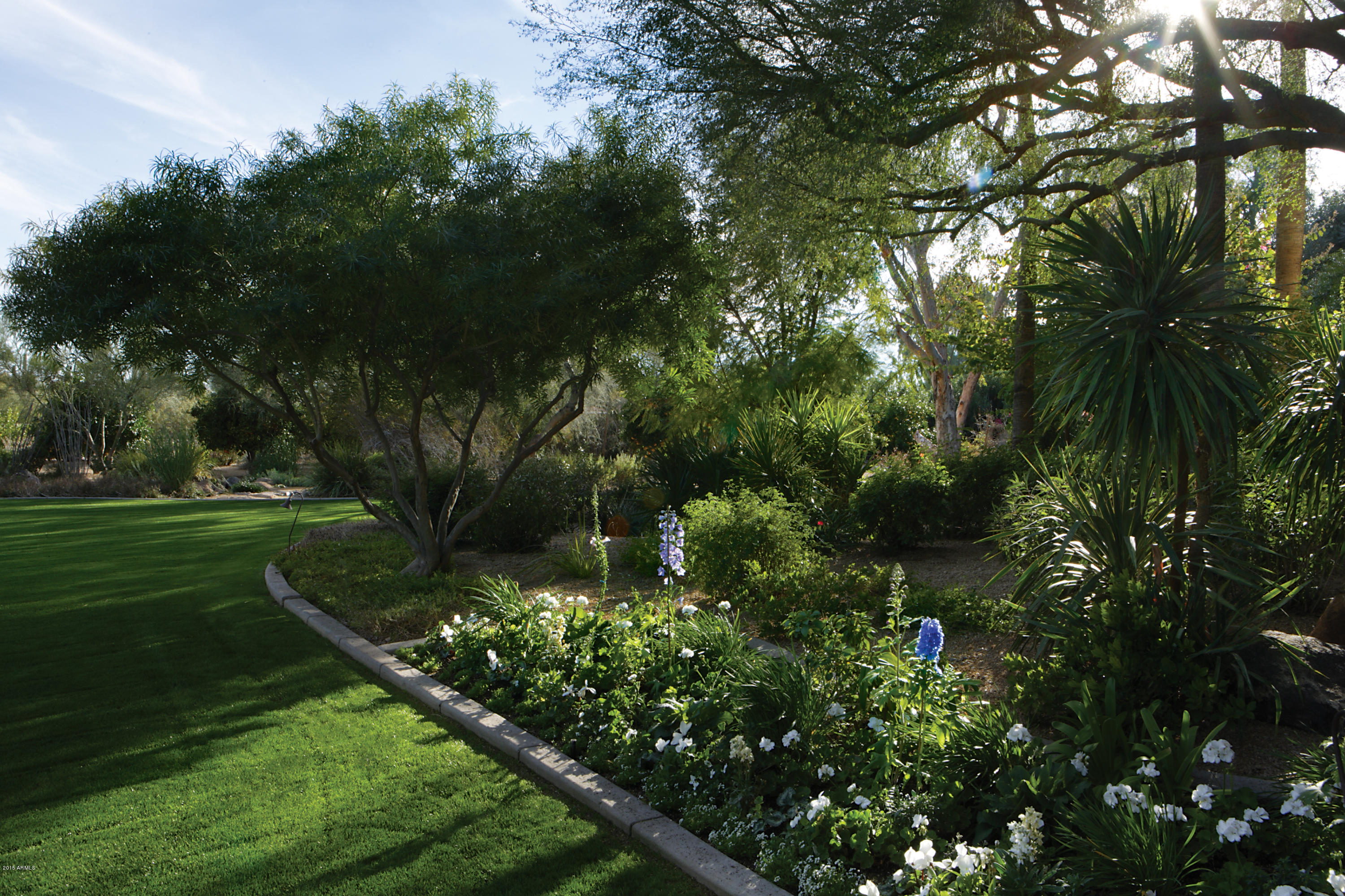 Camelback Lands - Residential