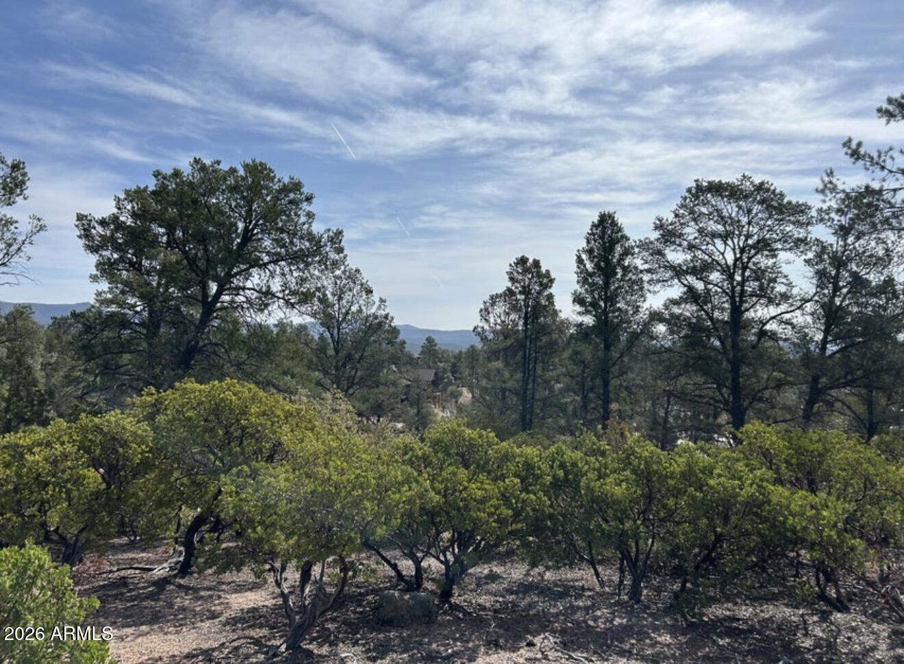 CHAPARRAL PINES PHASE 3 - Residential