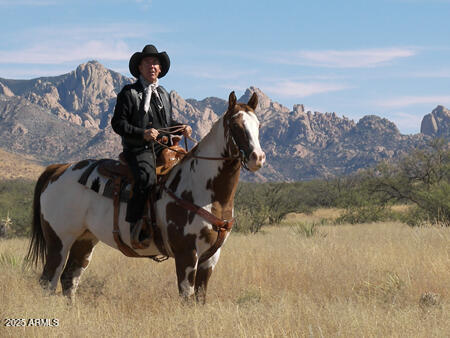 DRAGOON MOUNTAIN RANCH 1 - Land
