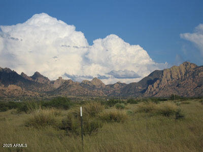 DRAGOON MOUNTAIN RANCH 1 - Land