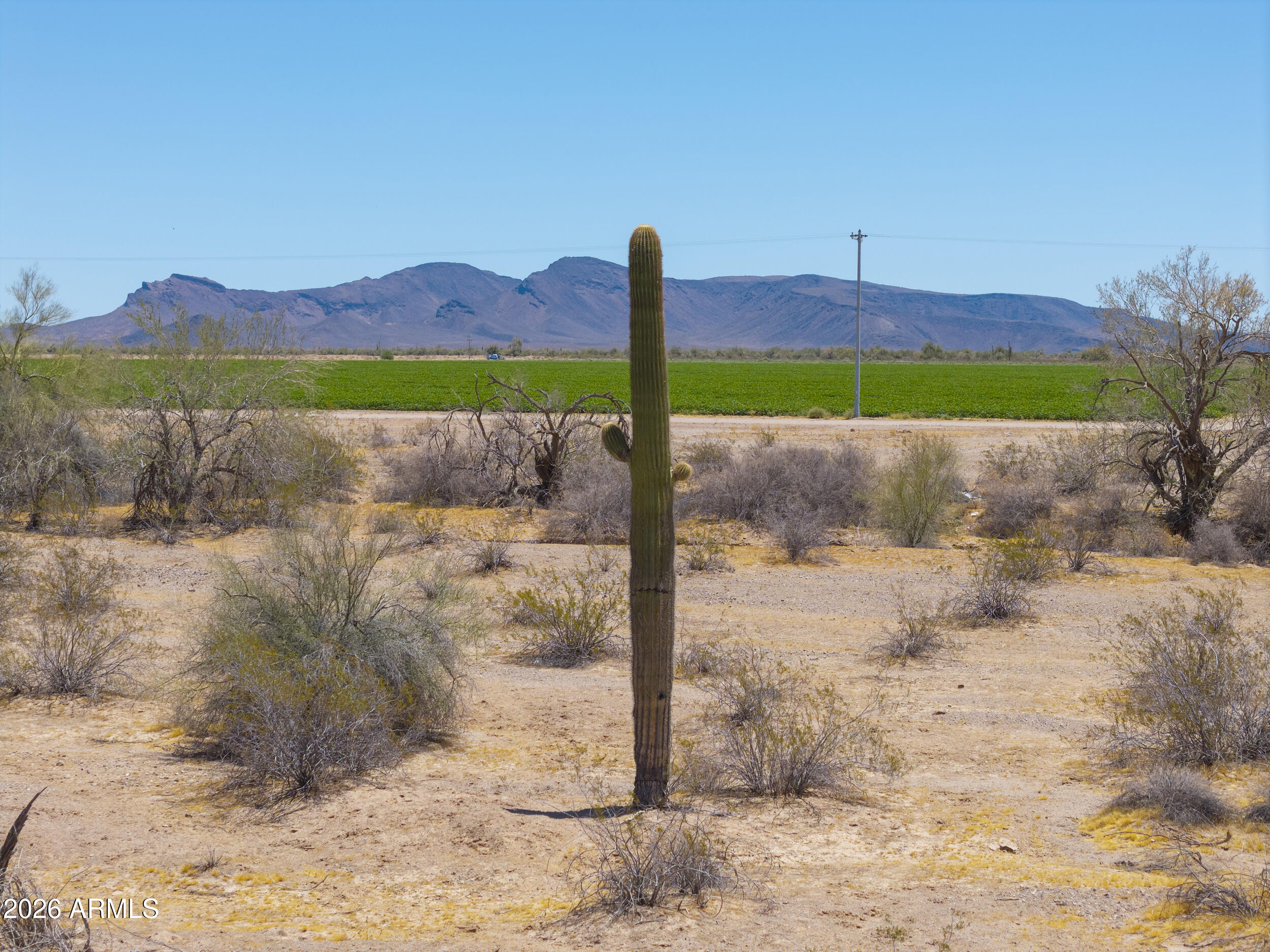 NW4 NW4 40 AC - Land
