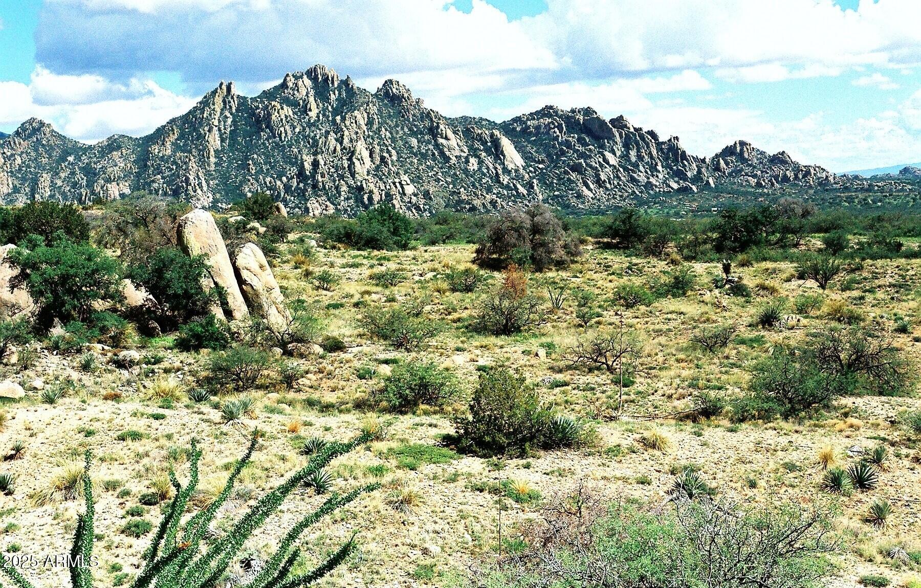 DRAGOON MOUNTAIN RANCH 2 - Land