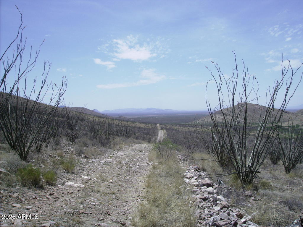 Not far from Civilization, but when you are out there it sure feels like it.  Two adjacent 36 acre parcels available side by side. Ok to make offer on both. Raw land.
