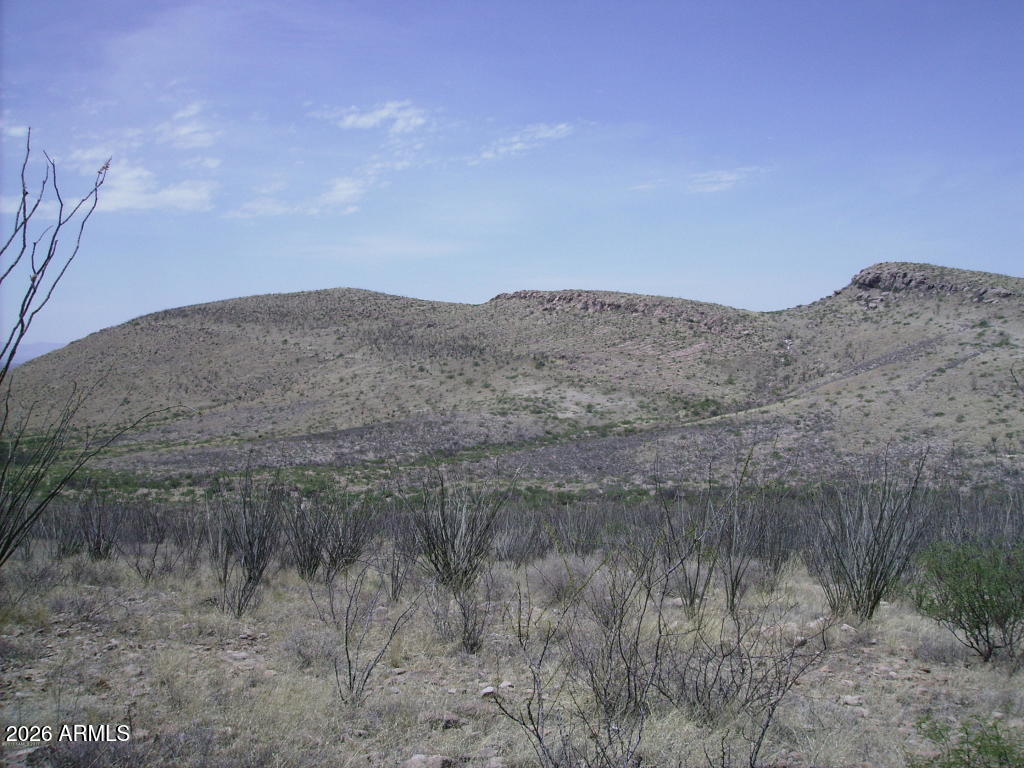 PERILLA MOUNTAIN RANCH UNIT 5 - Land