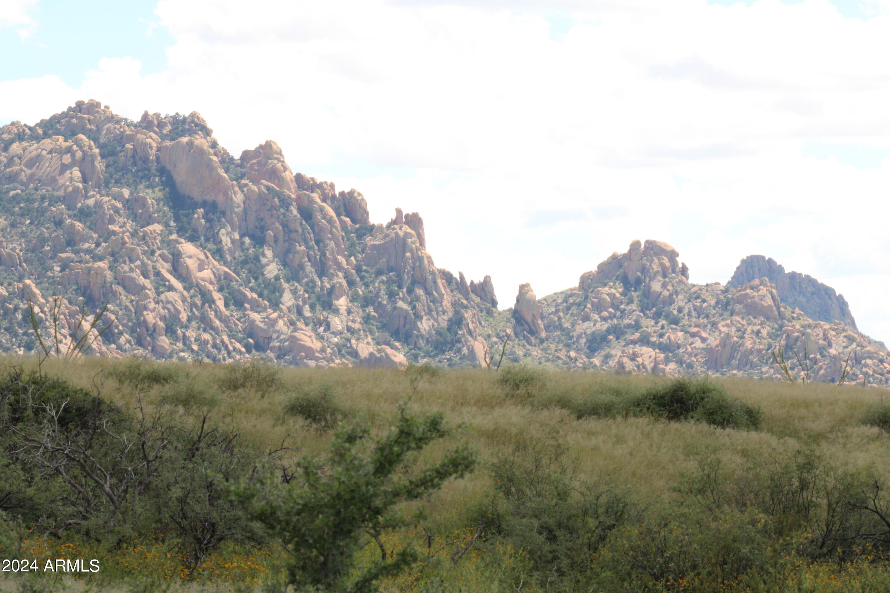 Spectacular property with panoramic mountain view. This property borders Stronghold Canyon Reserve with electric, phone and fiber optics at lot line.  The Dragoon Mountain Ranch subdivision is in St David AZ. The ranch consists of approx 14,000 acres and adjoins 52,000 acres of the Coronado National Forest wilderness area. The ranch is also adjacent to thousands of acres of State Trust lands. Both the National Forest and State Trust lands provide a wildlife sanctuary. The adjacent Dragoons as well as the Rincons range to an elevation of over 7000 feet. Nearby towns and cities are Benson, Bisbee, Tombstone, Willcox and Sierra Vista all in Cochise County. Tucson is about an hour drive from the ranch and has a population of over a ½ million