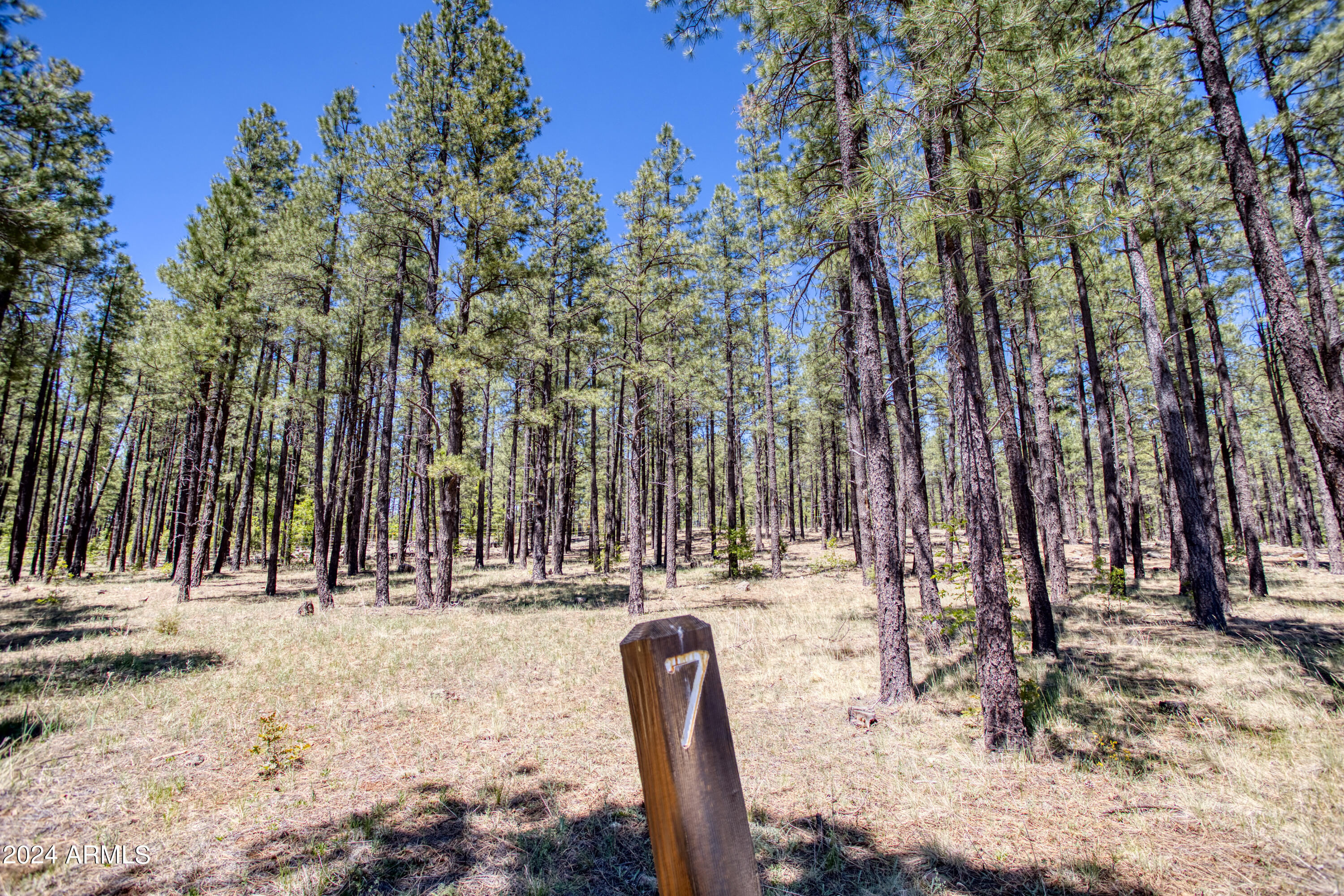 SIERRA SPRINGS RANCH - Land