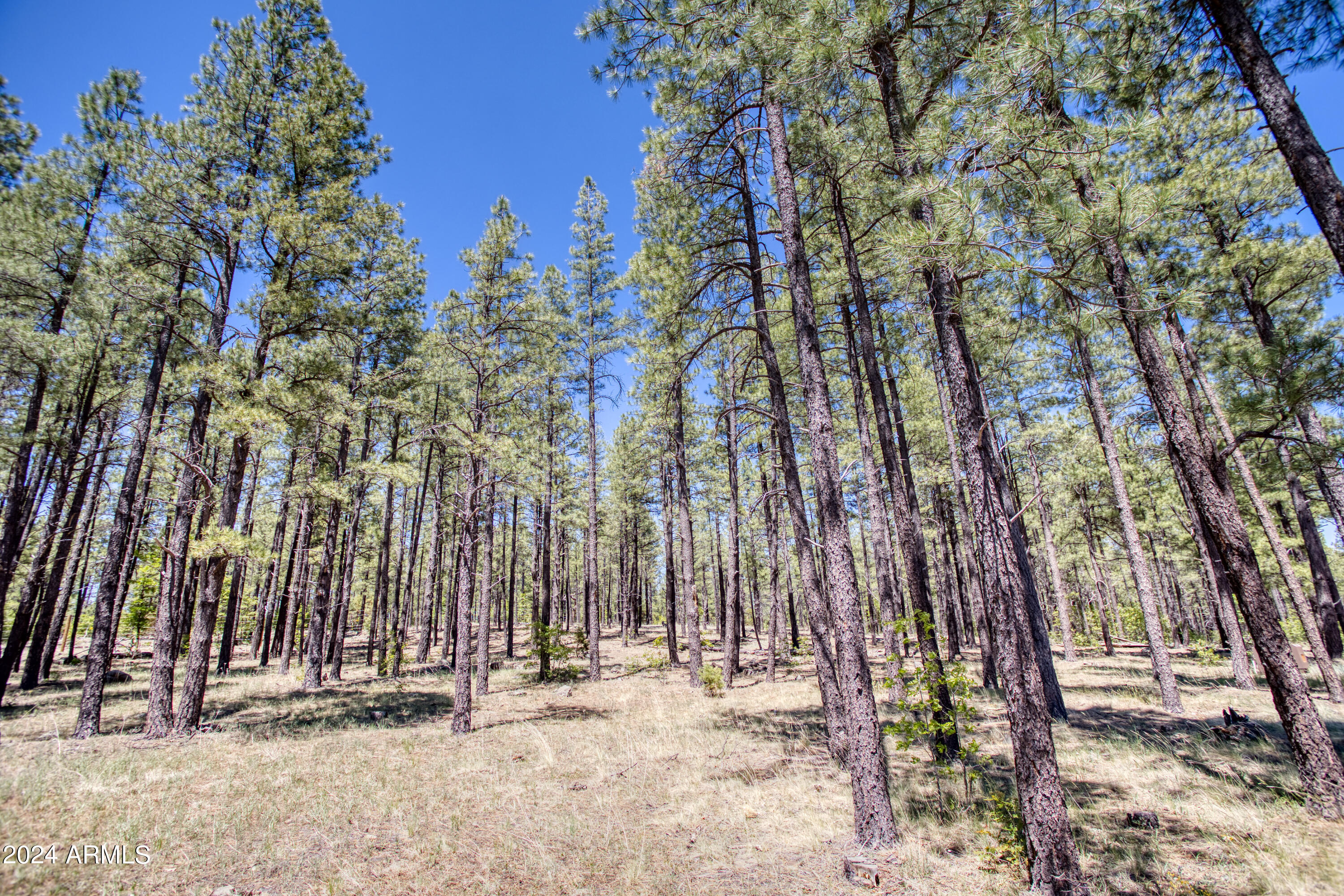 SIERRA SPRINGS RANCH - Land