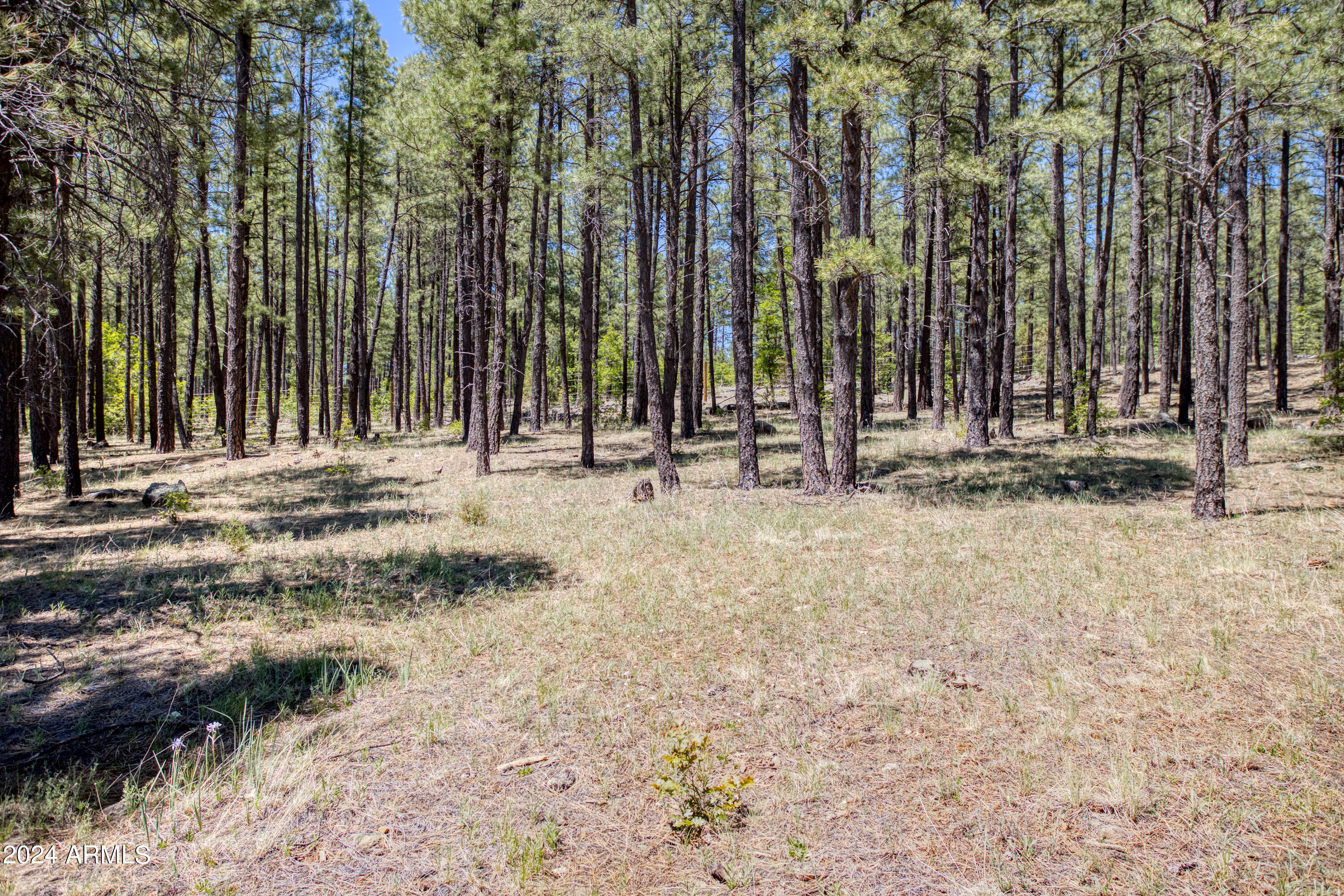 SIERRA SPRINGS RANCH - Land