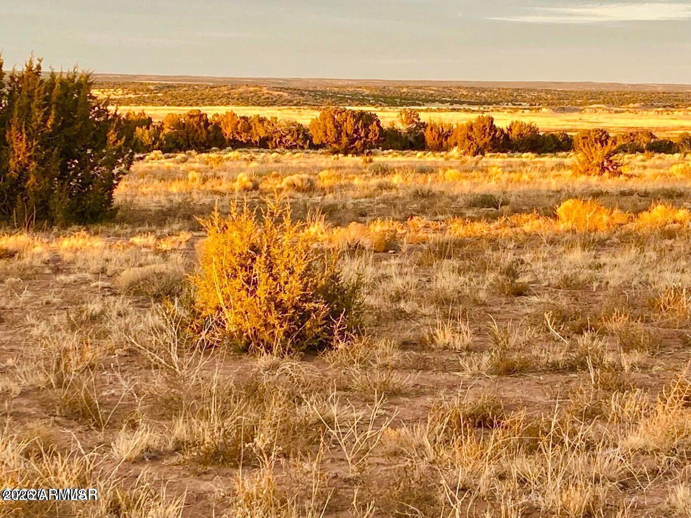 Woodland Valley Ranch - Land