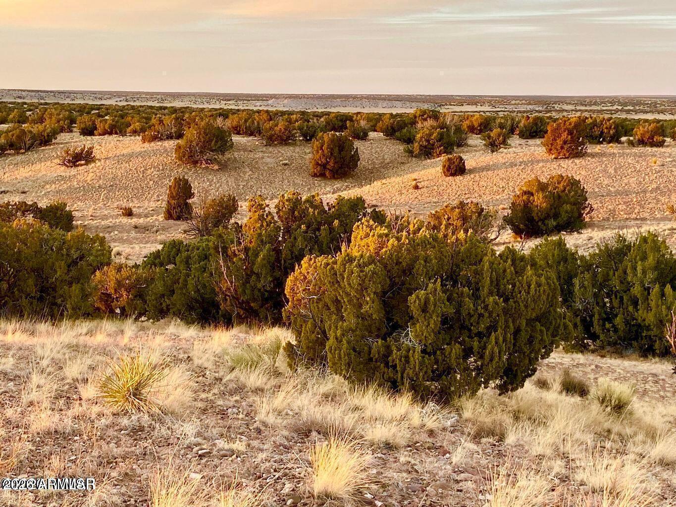 Woodland Valley Ranch - Land