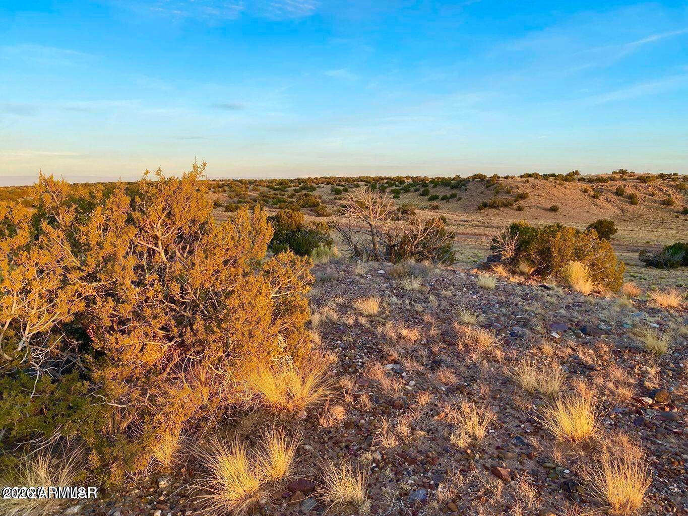 Woodland Valley Ranch - Land