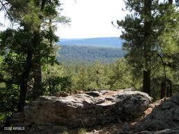 Beautiful treed view lot in gated Summer Place North, the highest elevation in Heber.  Approx 1 acre, paved roads, located in a community of gorgeous cabins/homes.  Only 55 miles from Payson to enjoy cooler summers and fresh clean mountain air.  Seller has other lots for sale in Summer Place North Unit 3A.