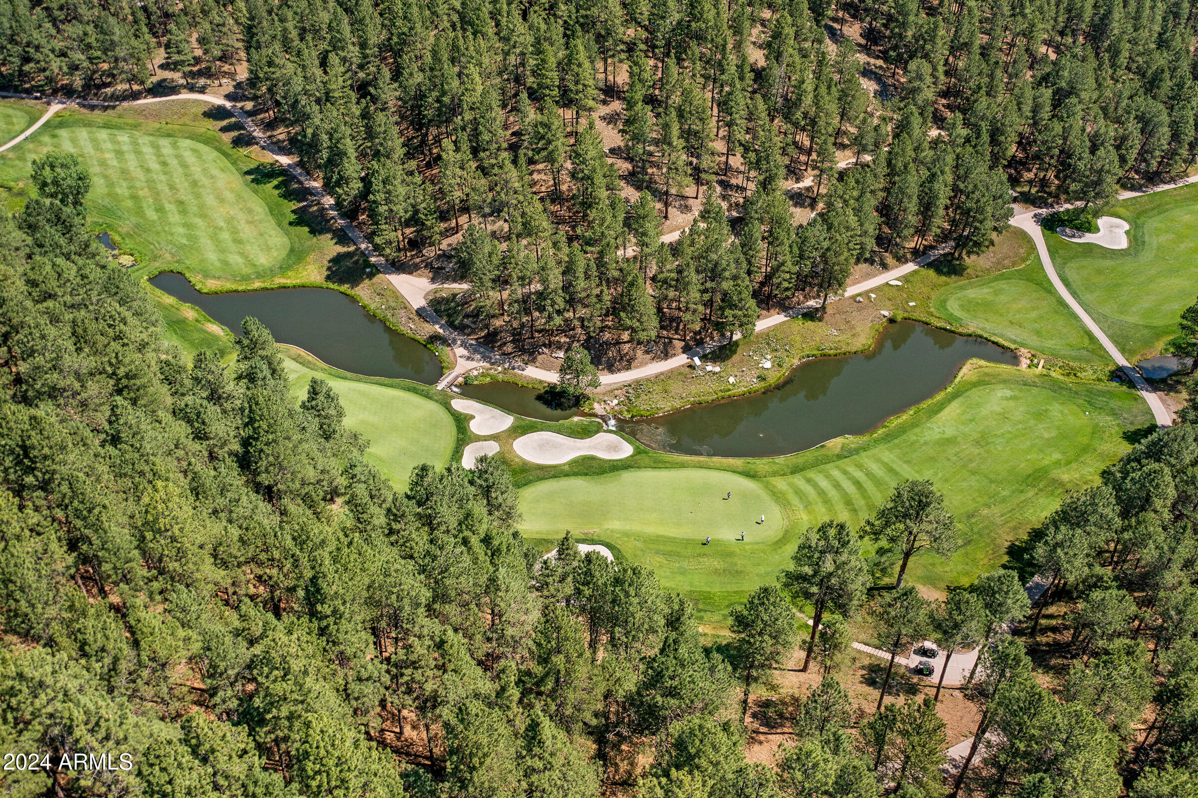 FOREST HIGHLANDS - Residential