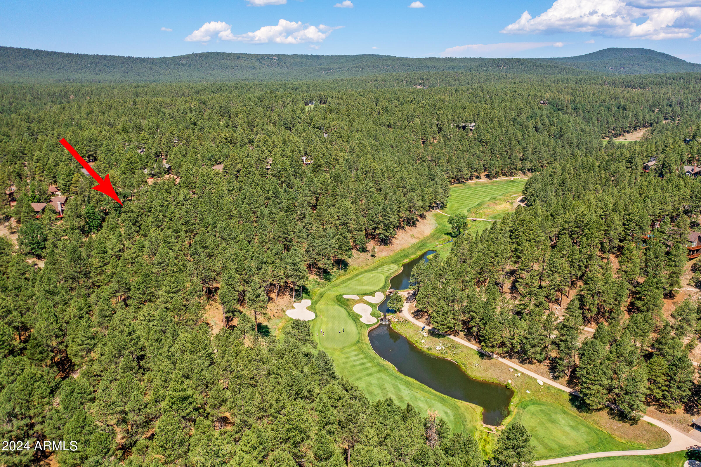 FOREST HIGHLANDS - Residential