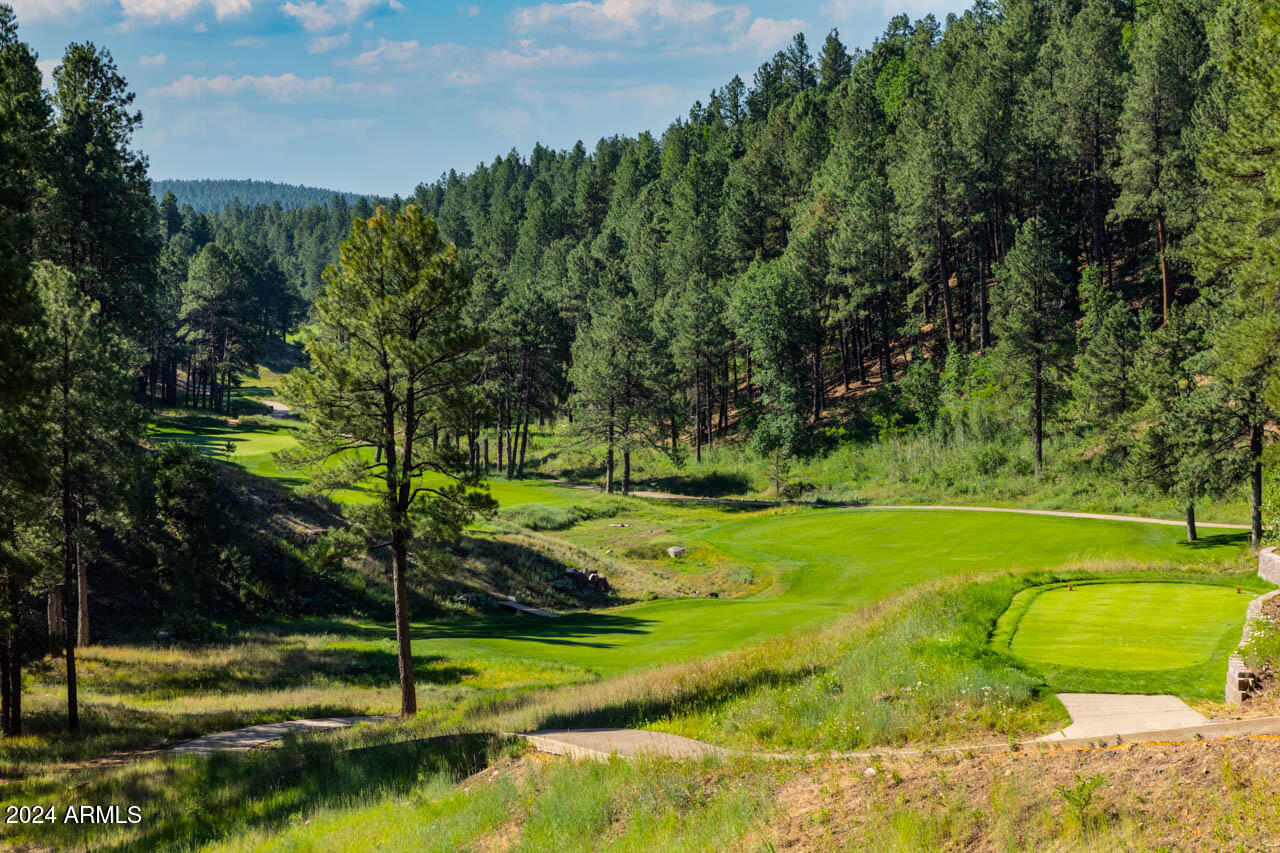 FOREST HIGHLANDS - Residential