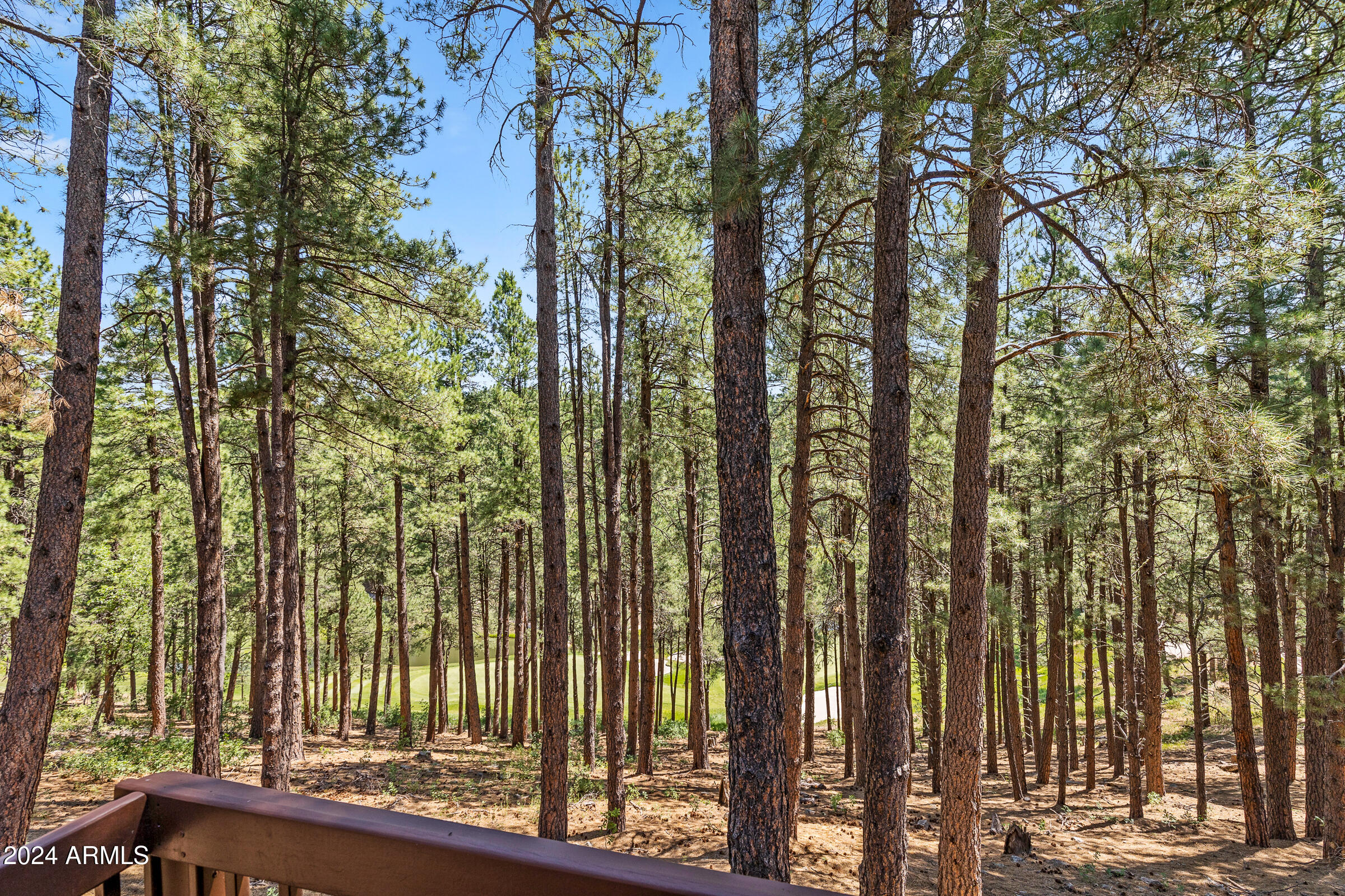 FOREST HIGHLANDS - Residential
