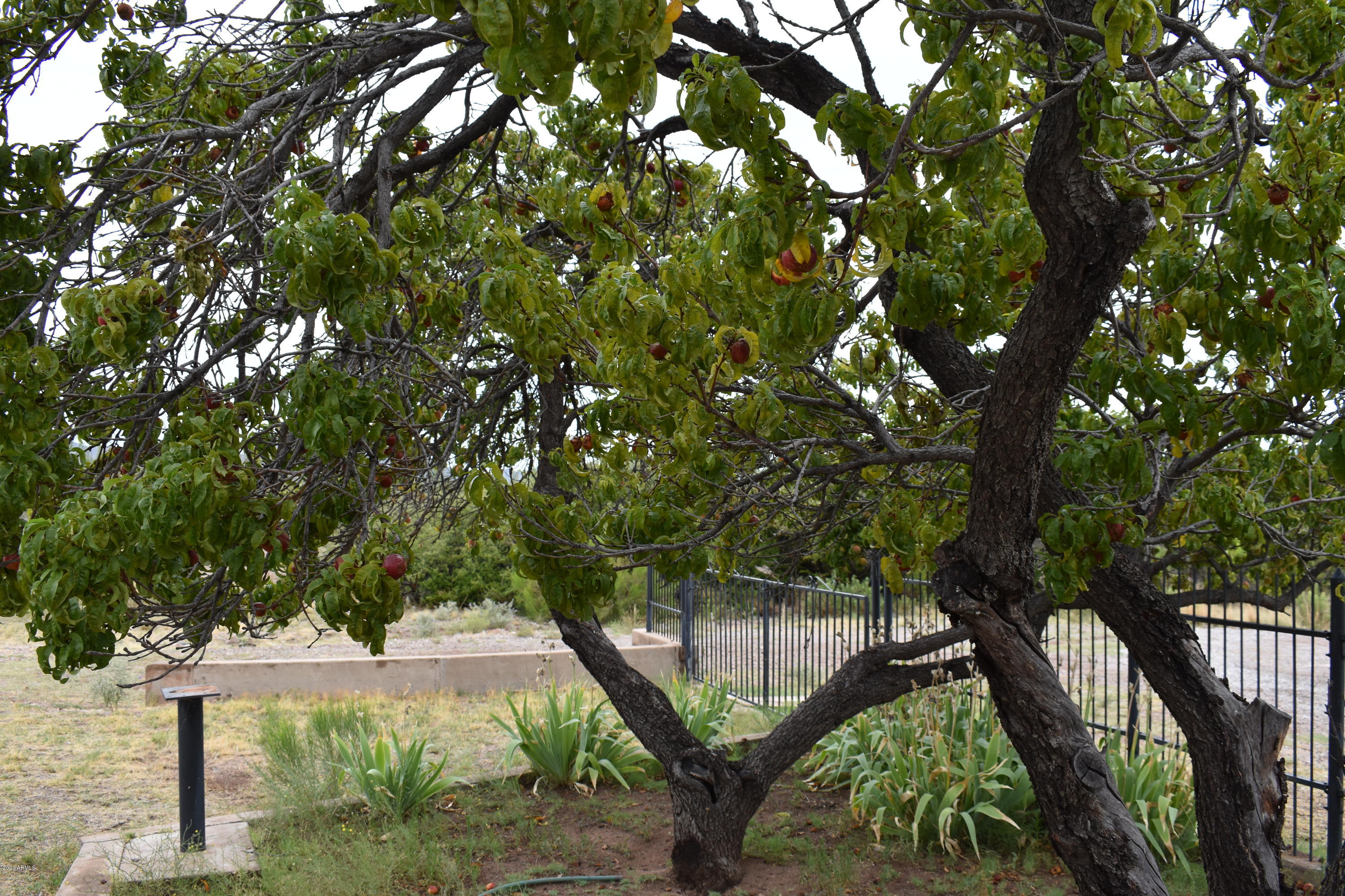 MOUNTAIN RANCH ESTATES UNIT 1 - Residential