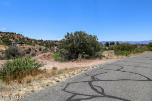 WICKIUP MESA UNIT 5 - Land