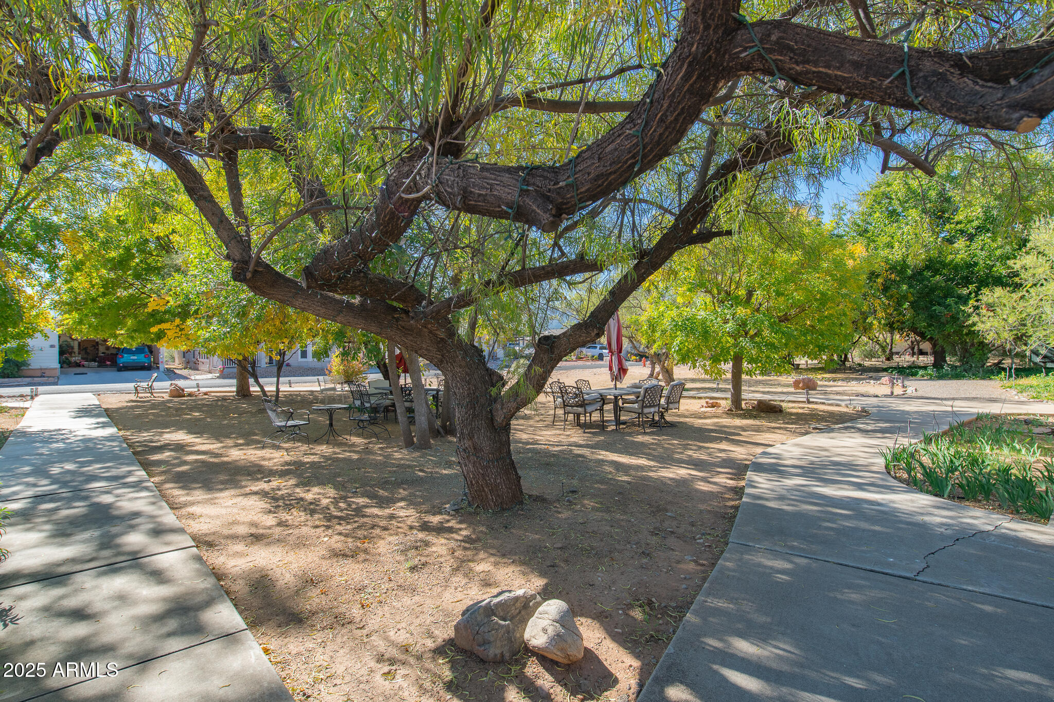The Willows at Camp Verde - Residential