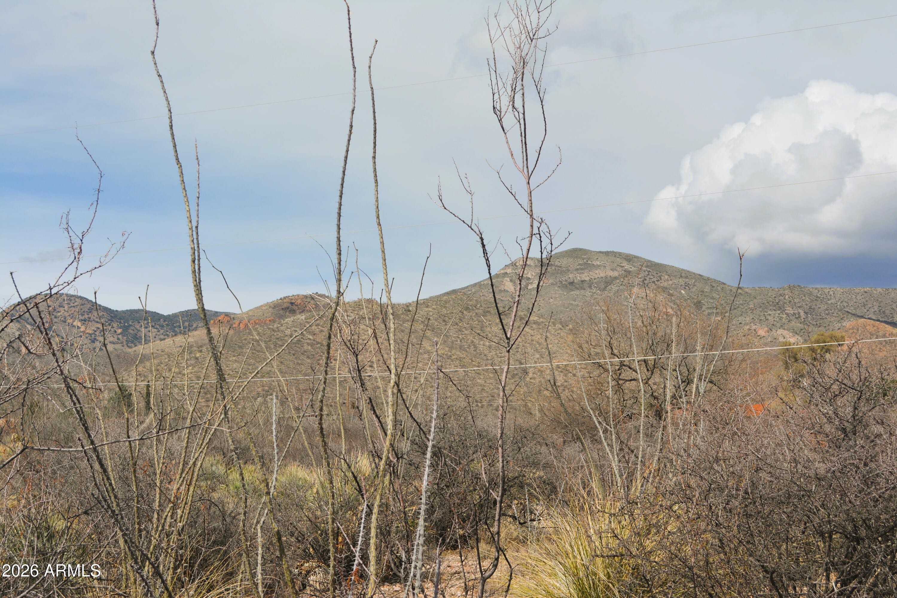 Huachuca Terrace - Residential