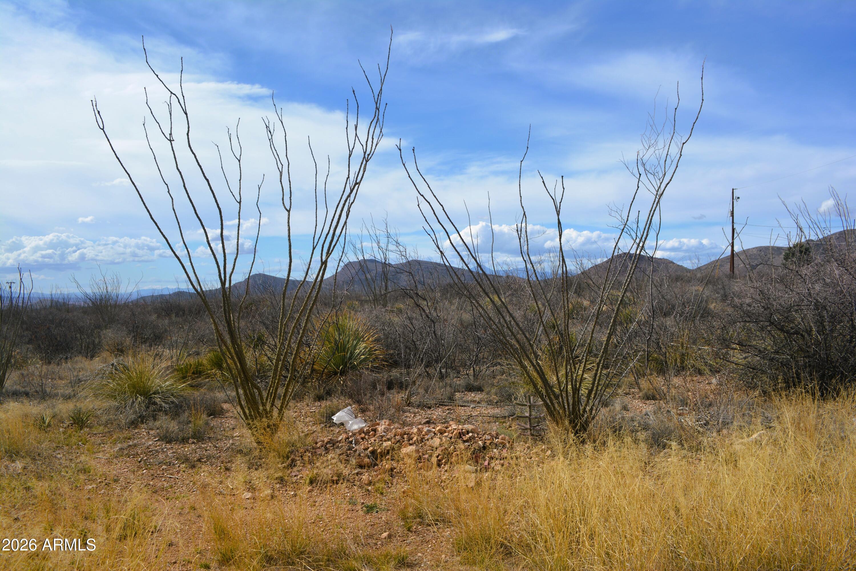 Huachuca Terrace - Residential