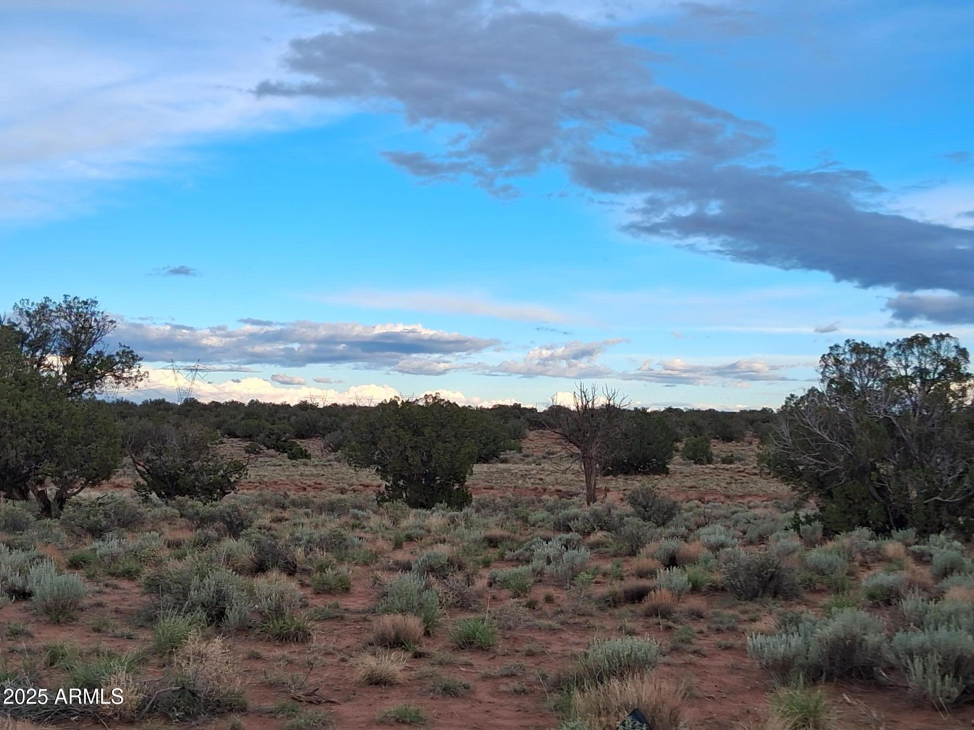 WOODRIDGE RANCH UNIT 8 - Land