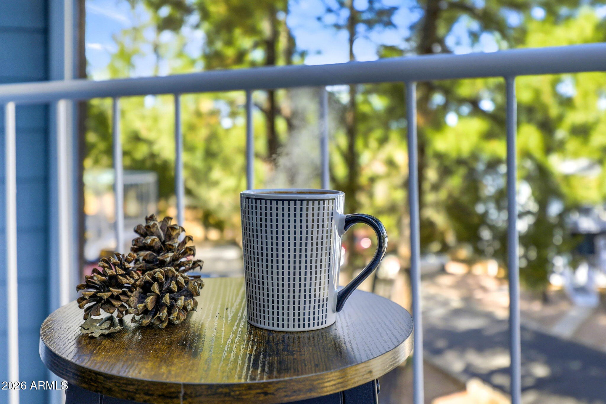 THE PINES AT SHOW LOW - Residential