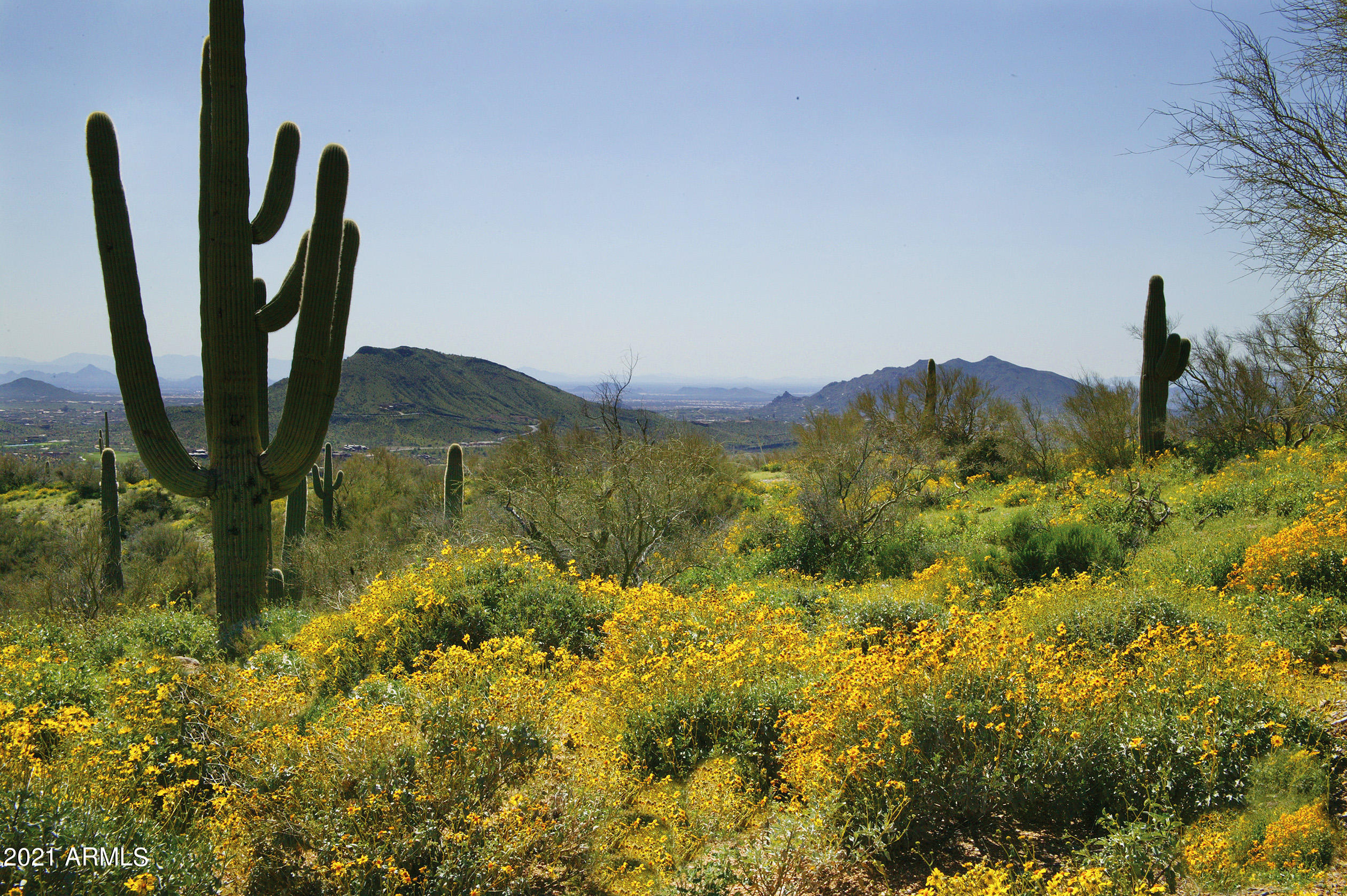 DESERT MOUNTAIN - Residential