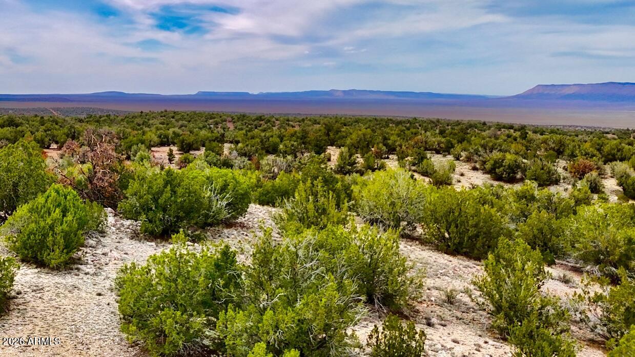 Bridge Canyon Country Estates - Land