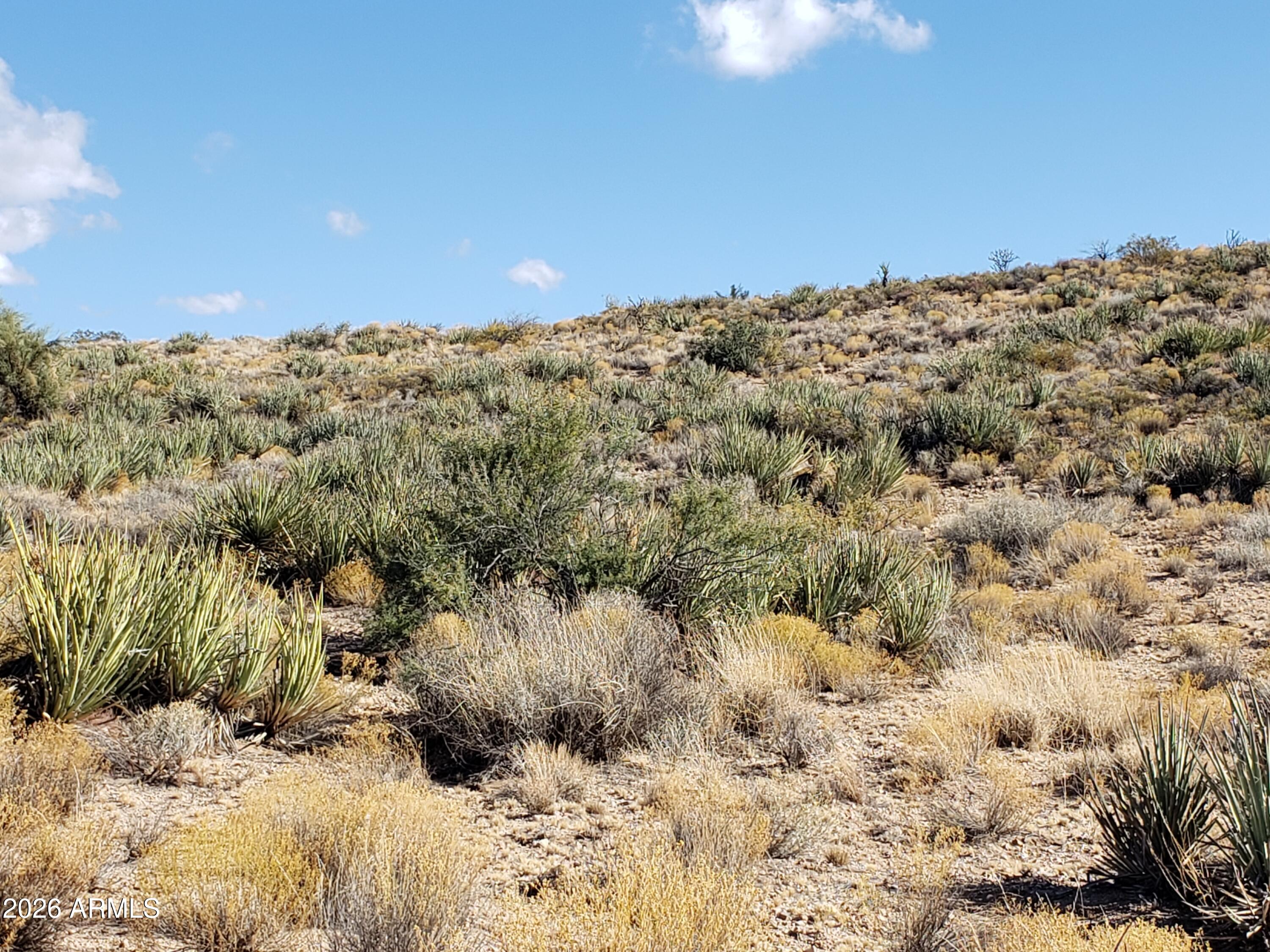 Boulder Pass Unit 1 - Land