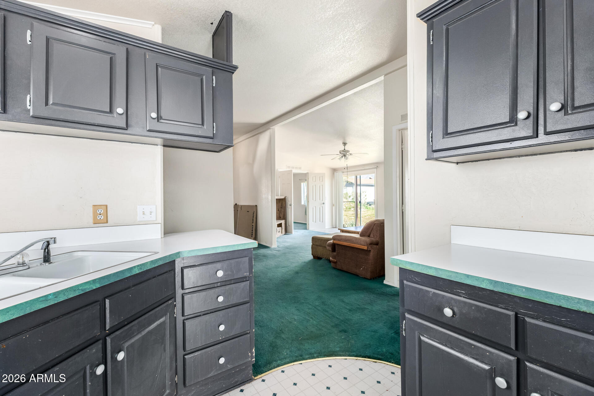 CHAPARRAL ESTATES UNIT 1 - Residential