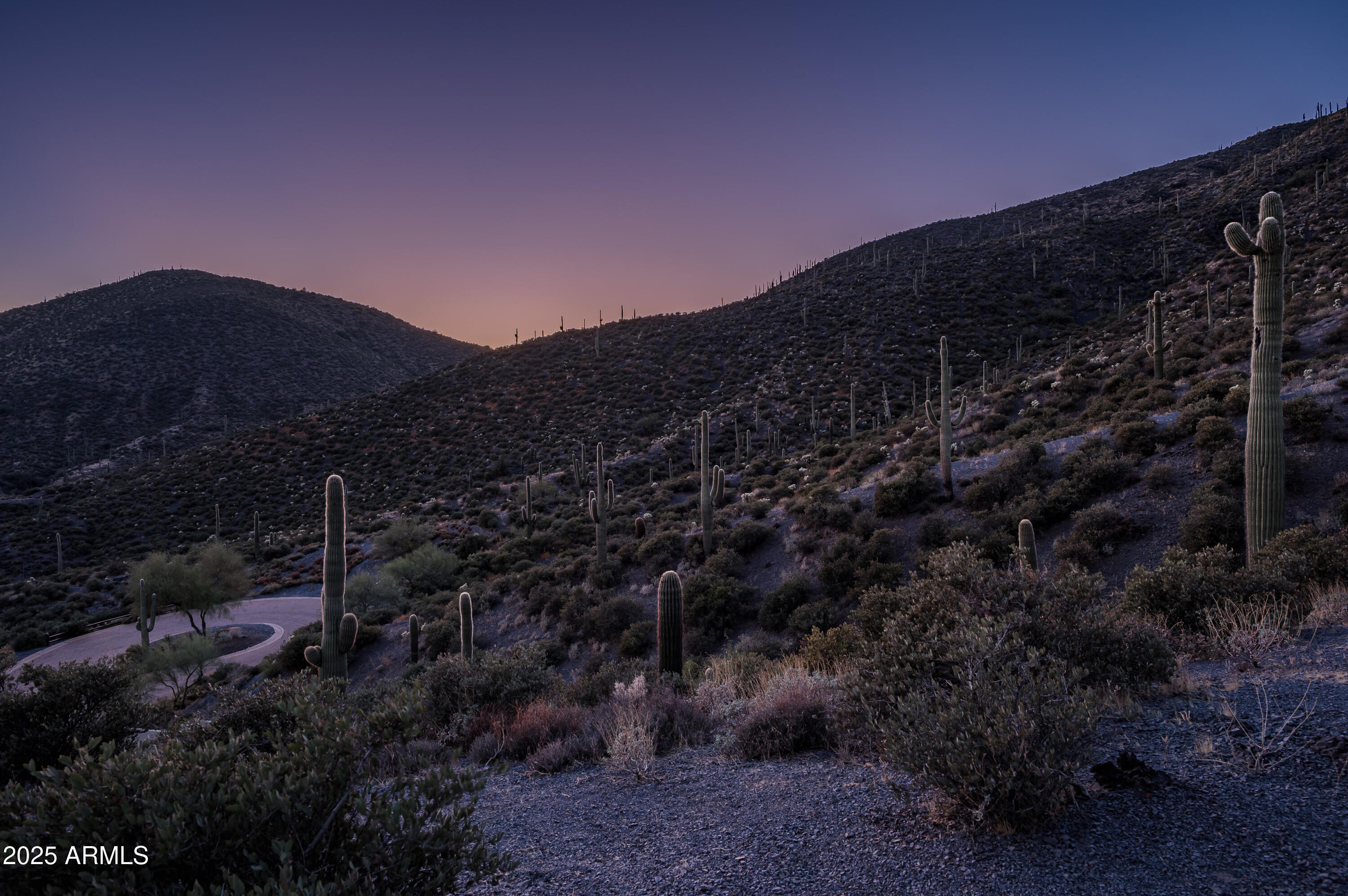 DESERT MOUNTAIN - Land