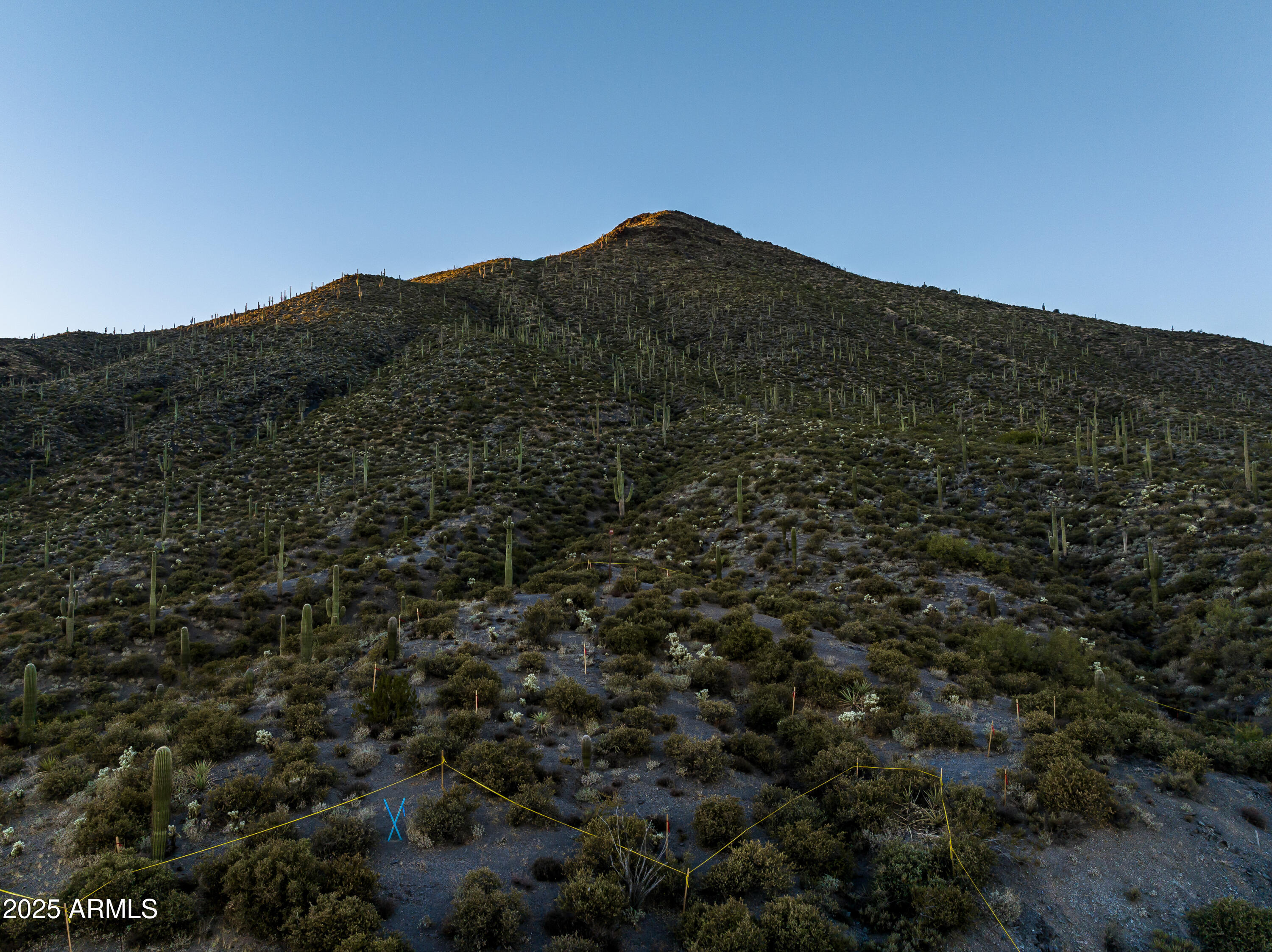 DESERT MOUNTAIN - Land