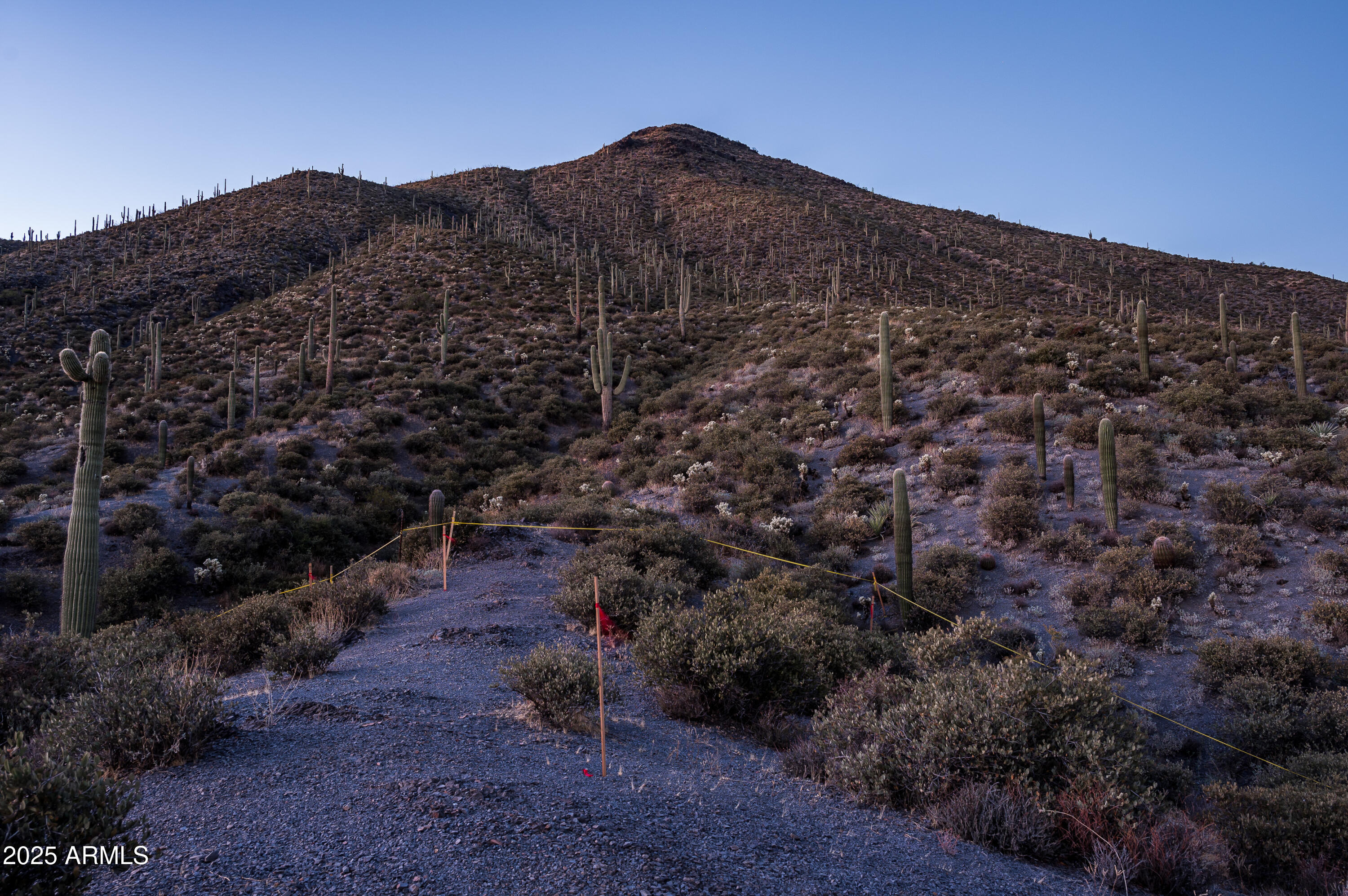 DESERT MOUNTAIN - Land