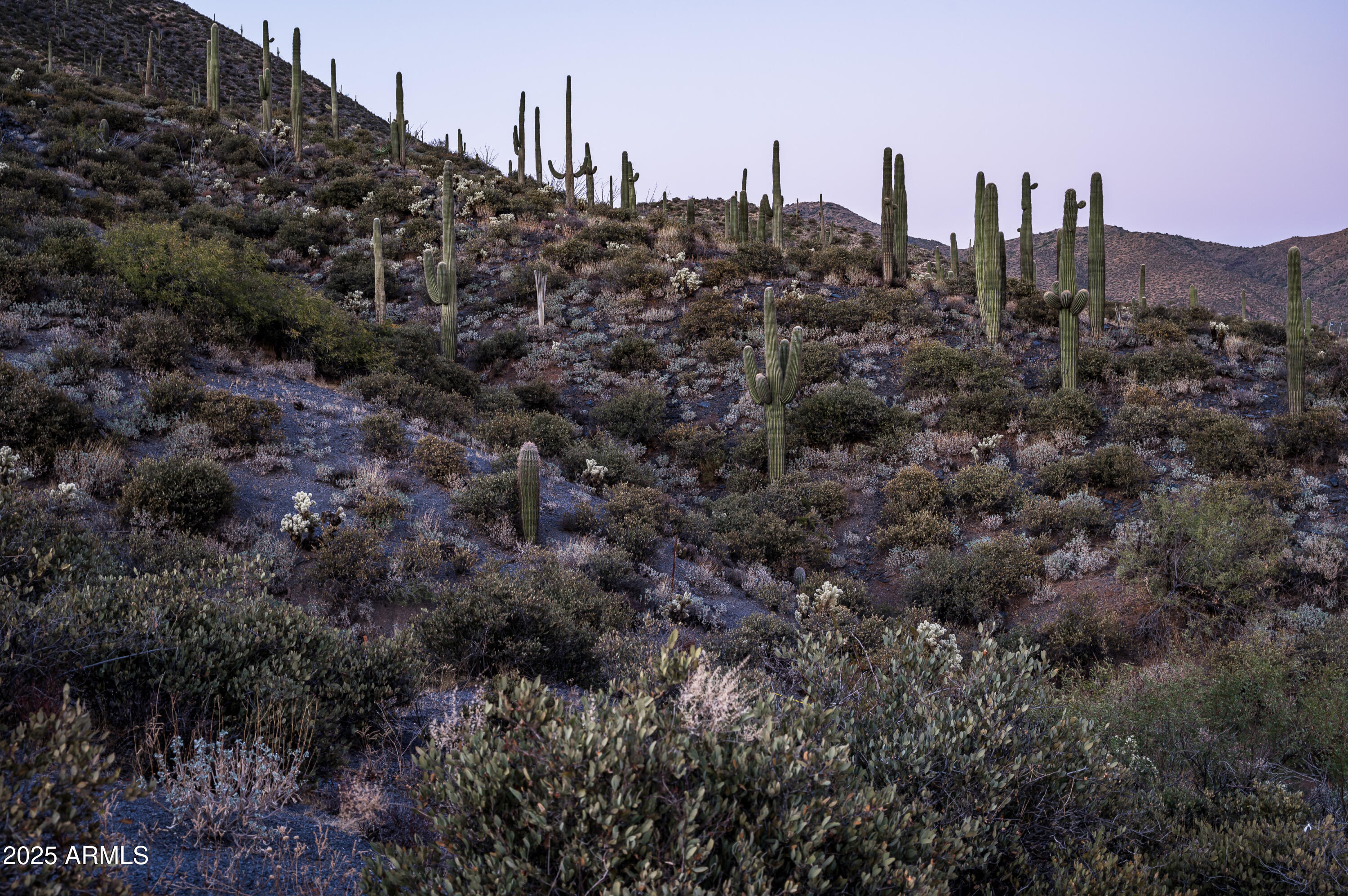 DESERT MOUNTAIN - Land